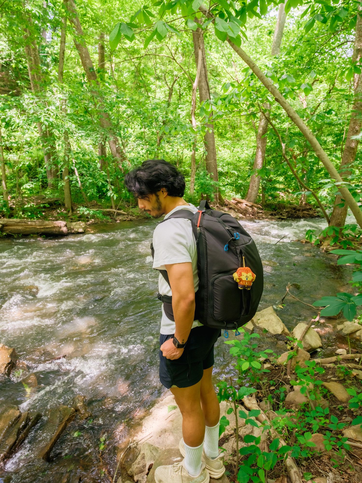 Hiker with backpack explores a lush green forest trail alongside a small cascading stream on a sunny day.