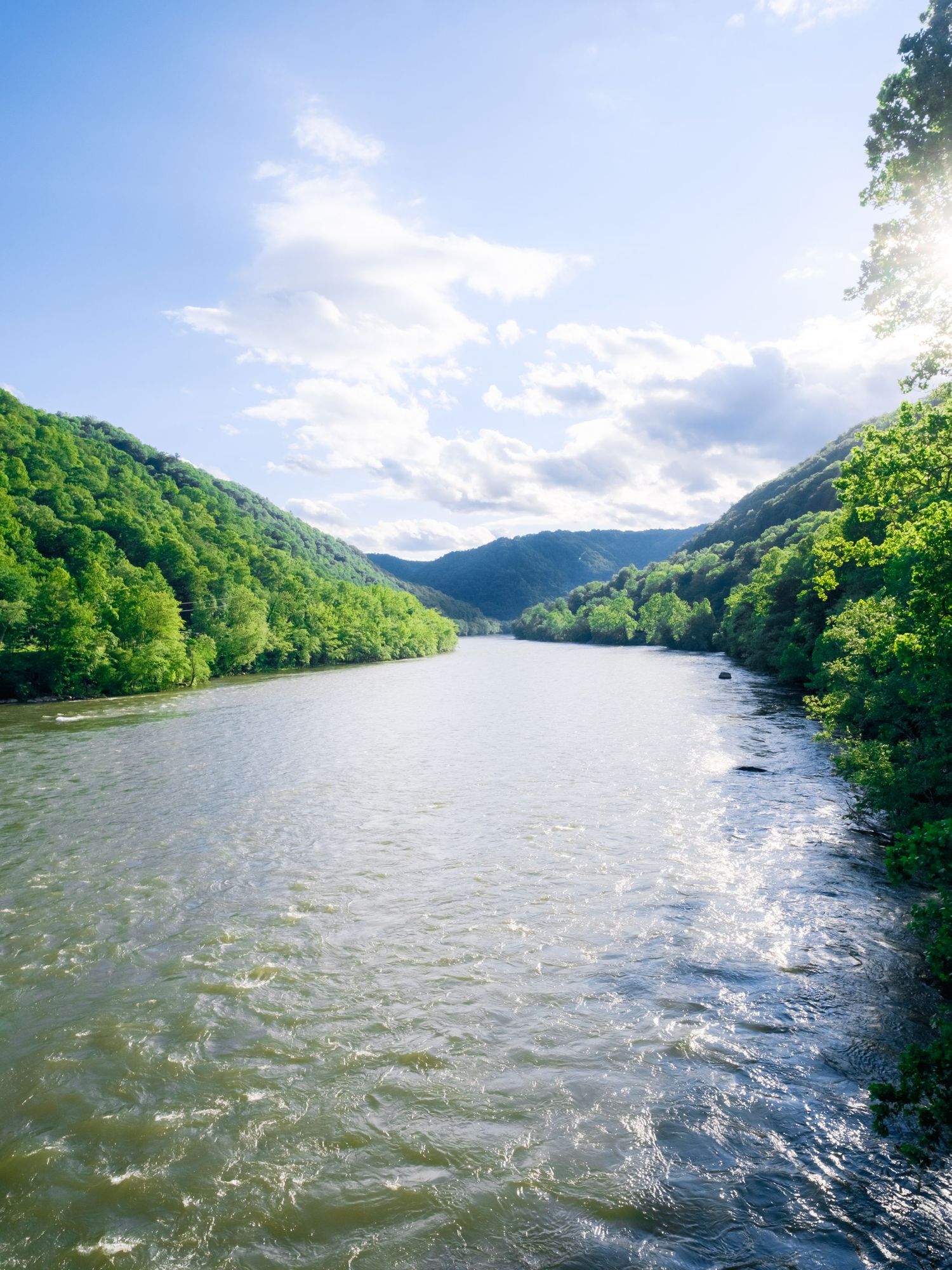 Scenic view of a wide river flowing through green forested mountains on a bright summer day with partly cloudy skies.