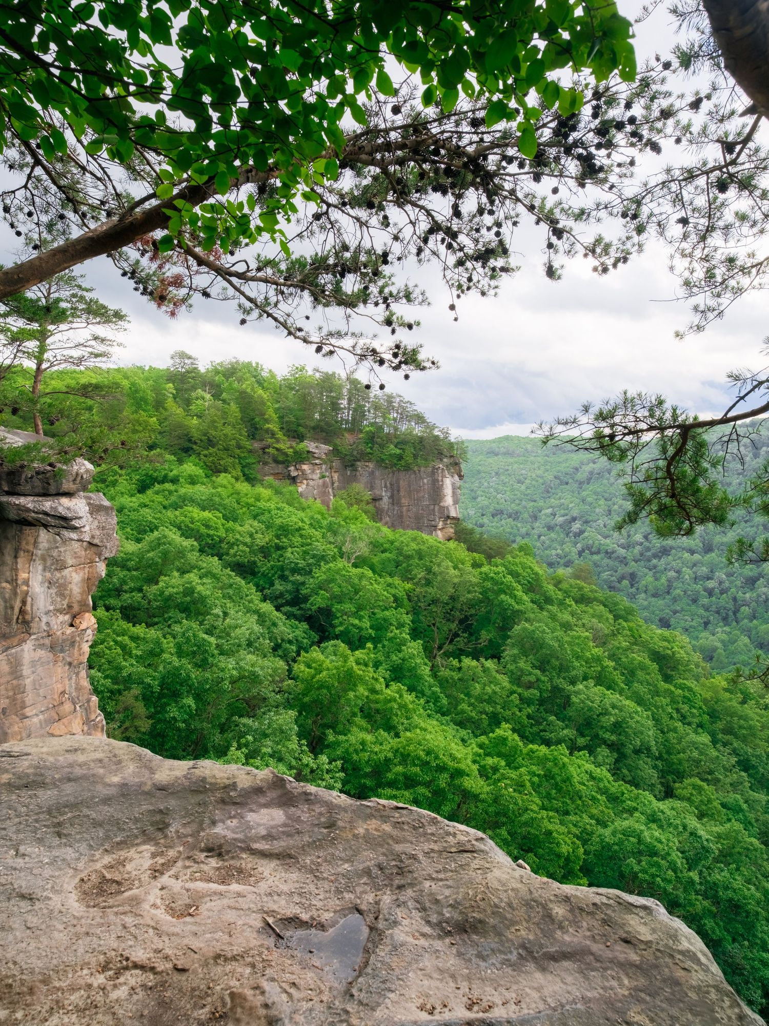 Panoramic series of Hawksbill Crag scenic overlook surrounded by lush green forest in the Ozark Mountains of Arkansas.
