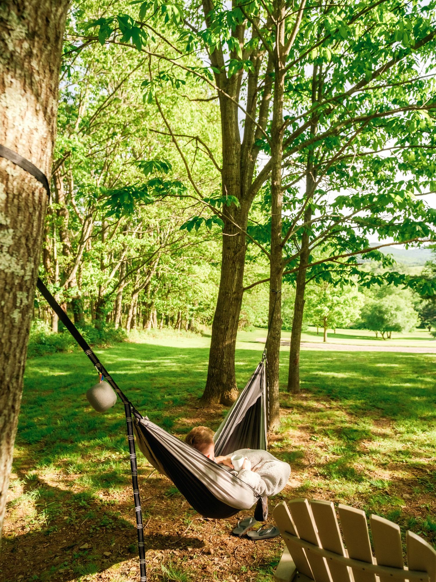 A collection of hammocks hanging between trees in a serene wooded park setting creates a peaceful outdoor relaxation area.