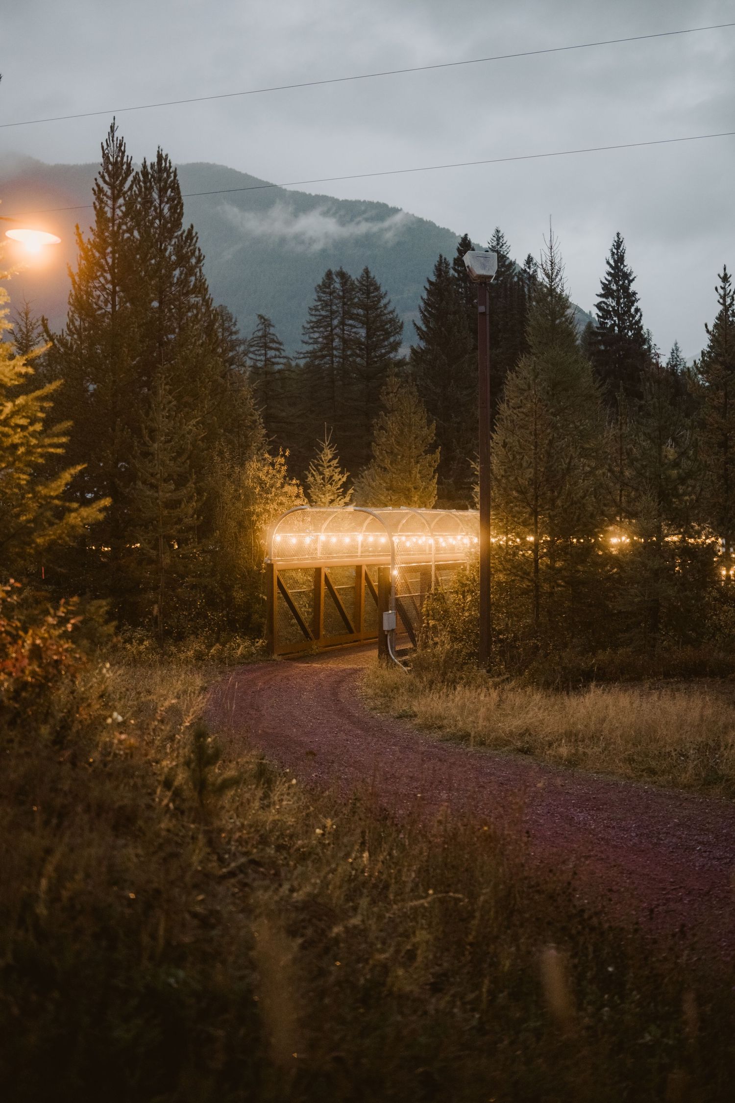 A moody sunset view of a dirt path winding through evergreen trees and mountains with glowing lights in the background.