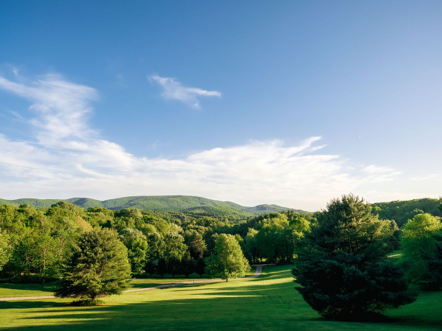Rolling green hills and lush forests stretch across a scenic landscape under bright blue summer skies in the countryside.