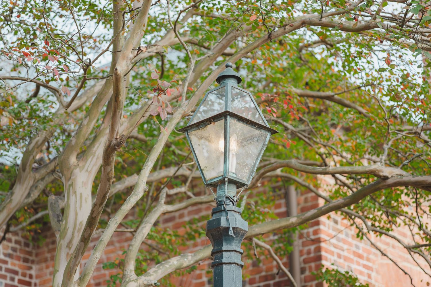 Vintage green lamppost against brick wall with autumn tree branches overhead and fall foliage.