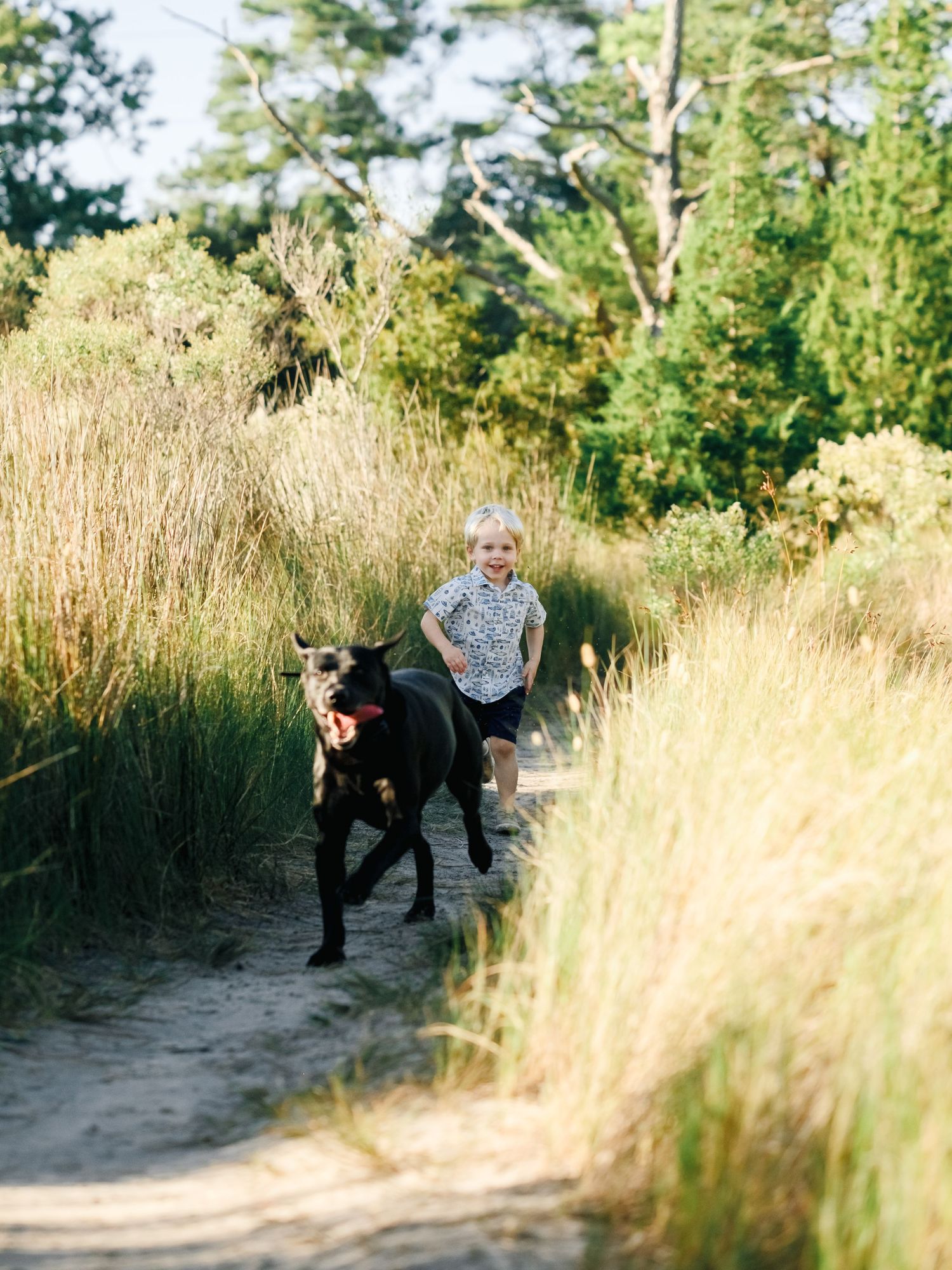 A person and black dog walk together on a winding dirt path through tall golden grass on a sunny afternoon.