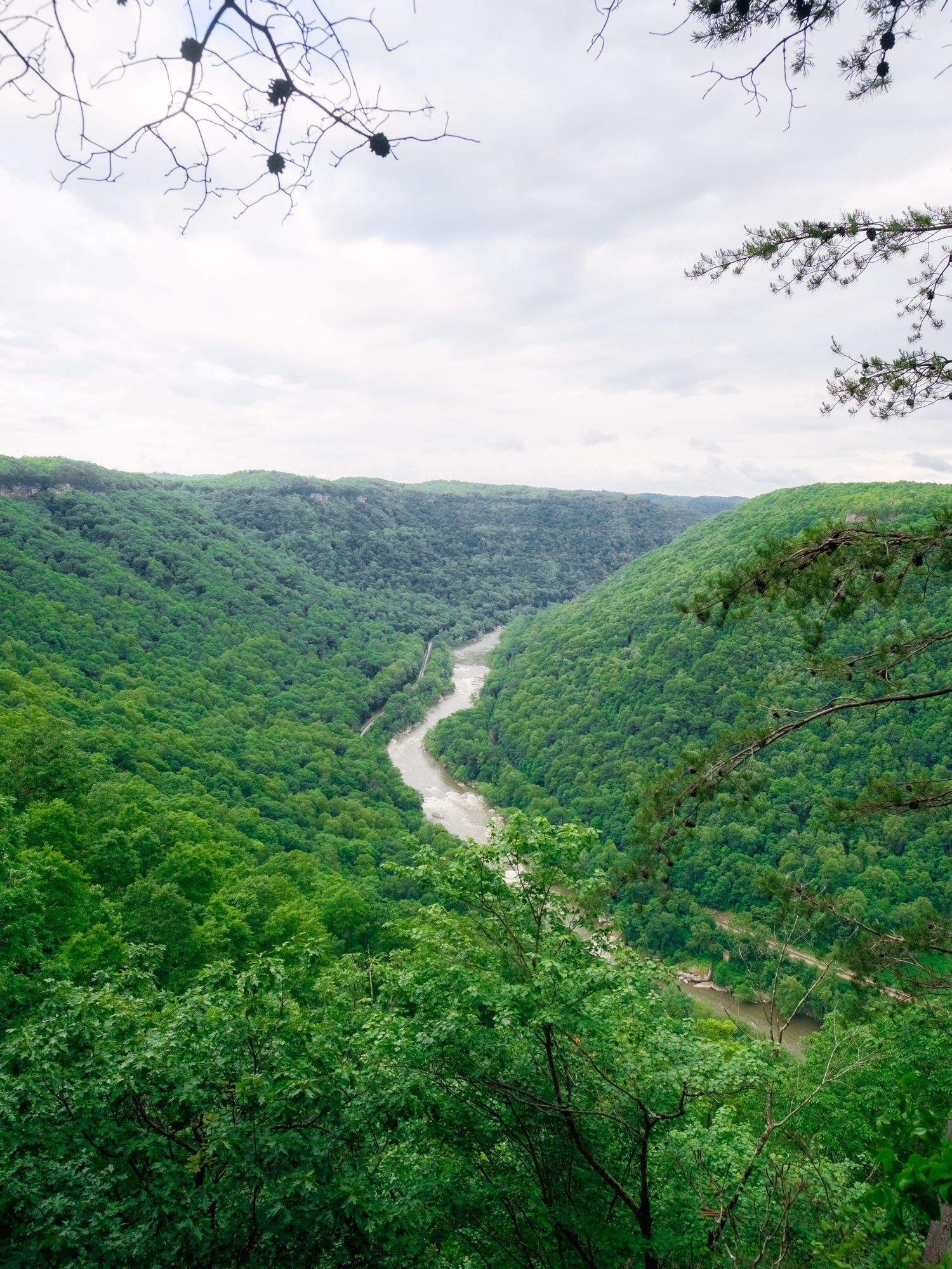 Aerial view of a winding river cutting through lush green mountains in a scenic river valley landscape.