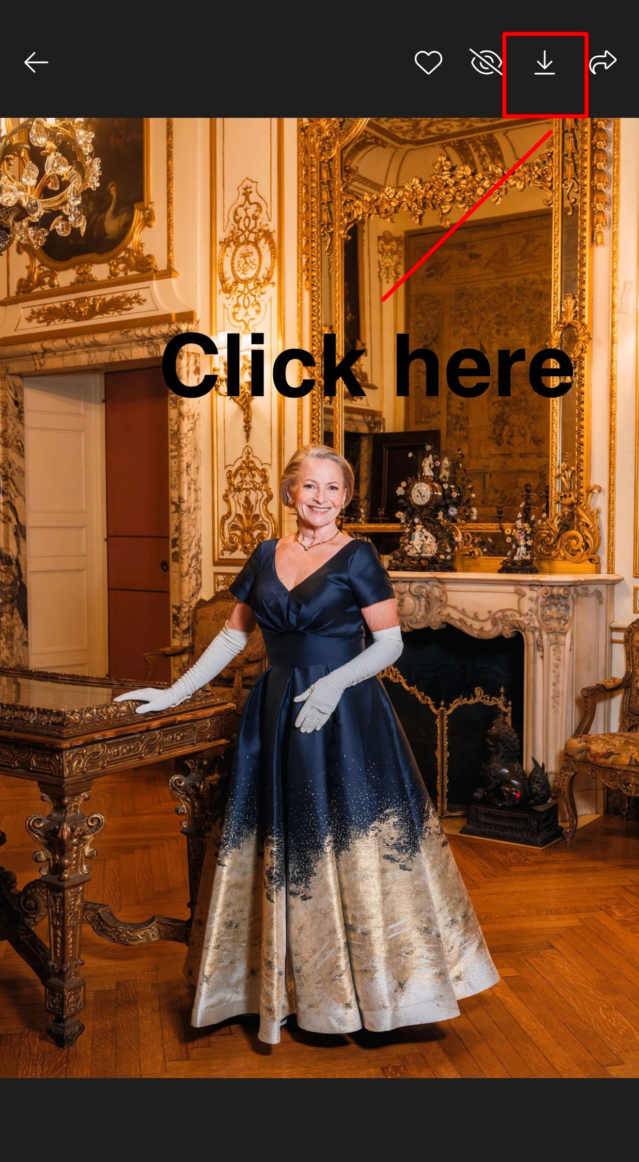 Elegant figure in a navy and silver ballgown poses gracefully in an ornate baroque palace room with gilded details.