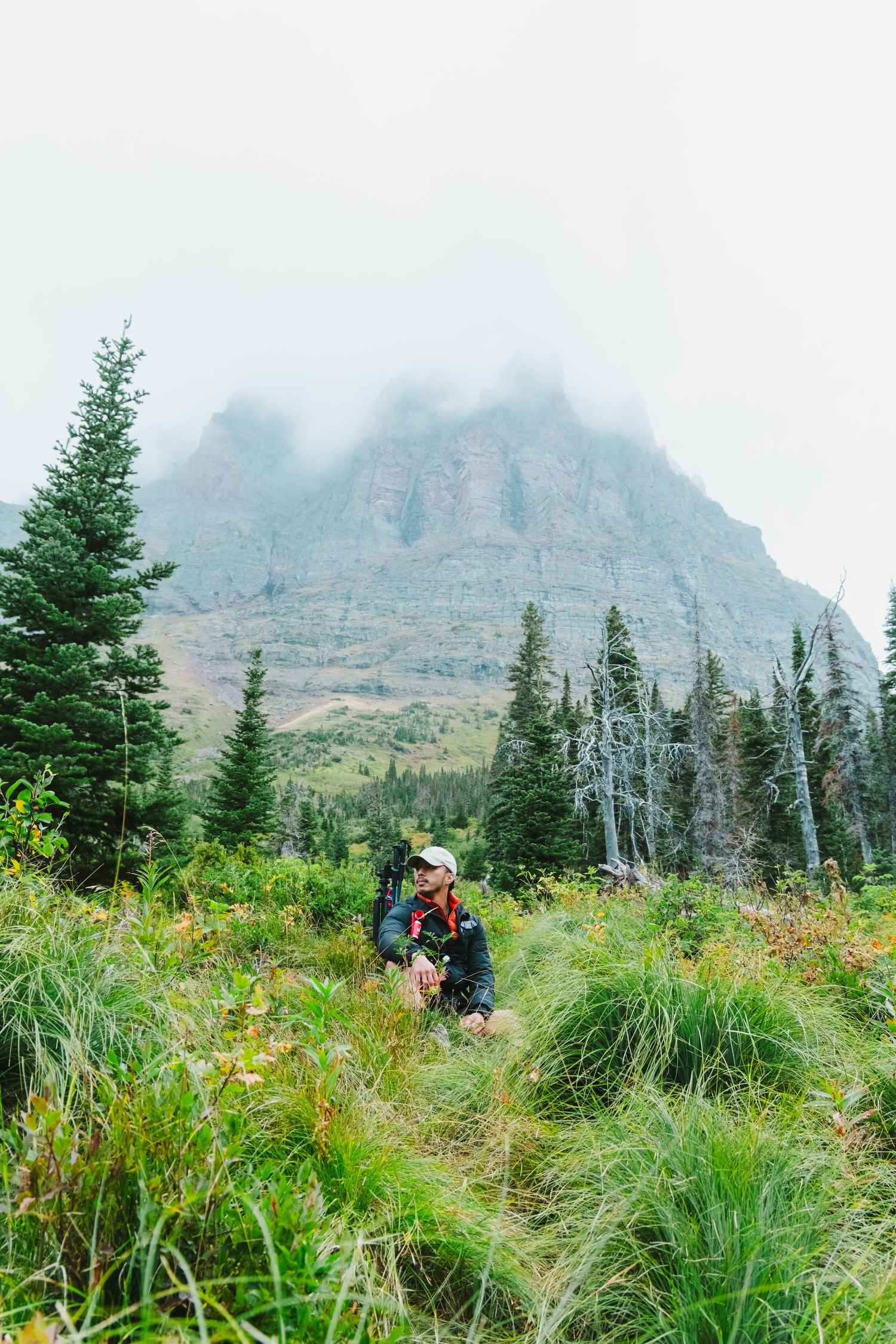 Hikers traverse a scenic mountain trail surrounded by tall grass and evergreen trees with misty peaks in the distance.