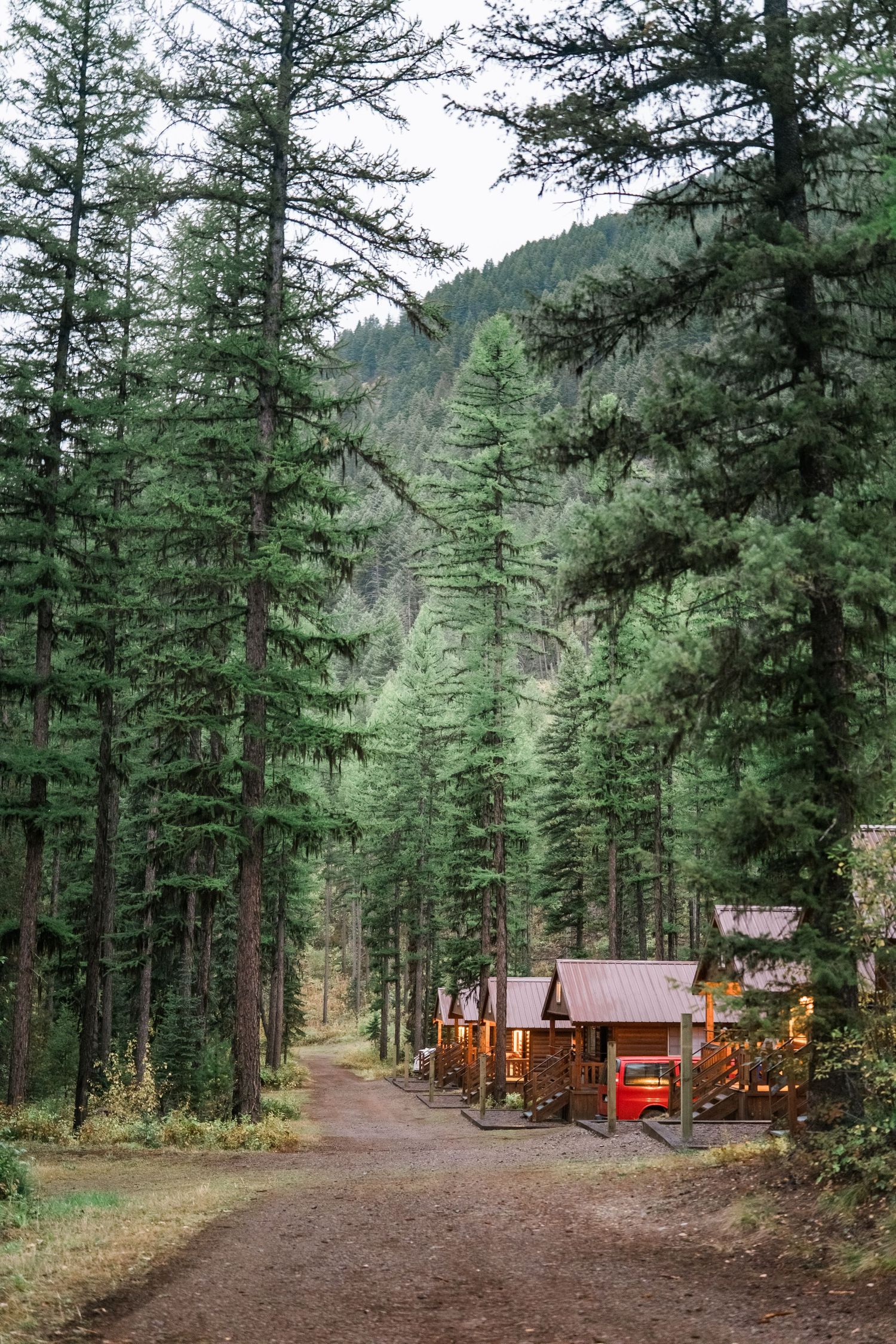 A winding dirt road leads through a dense evergreen forest with rustic cabin lodges nestled among the trees.