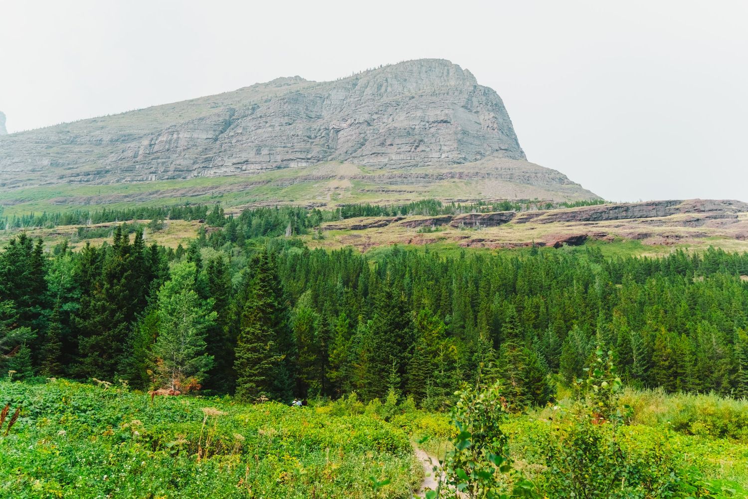 Rolling green hills and rugged mountain cliffs create a dramatic landscape in the Scottish Highlands.