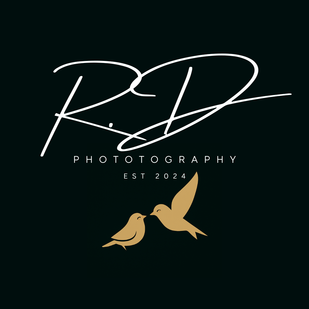 Elegant photography logo design with R.D. text and gold bird silhouettes on dark background.