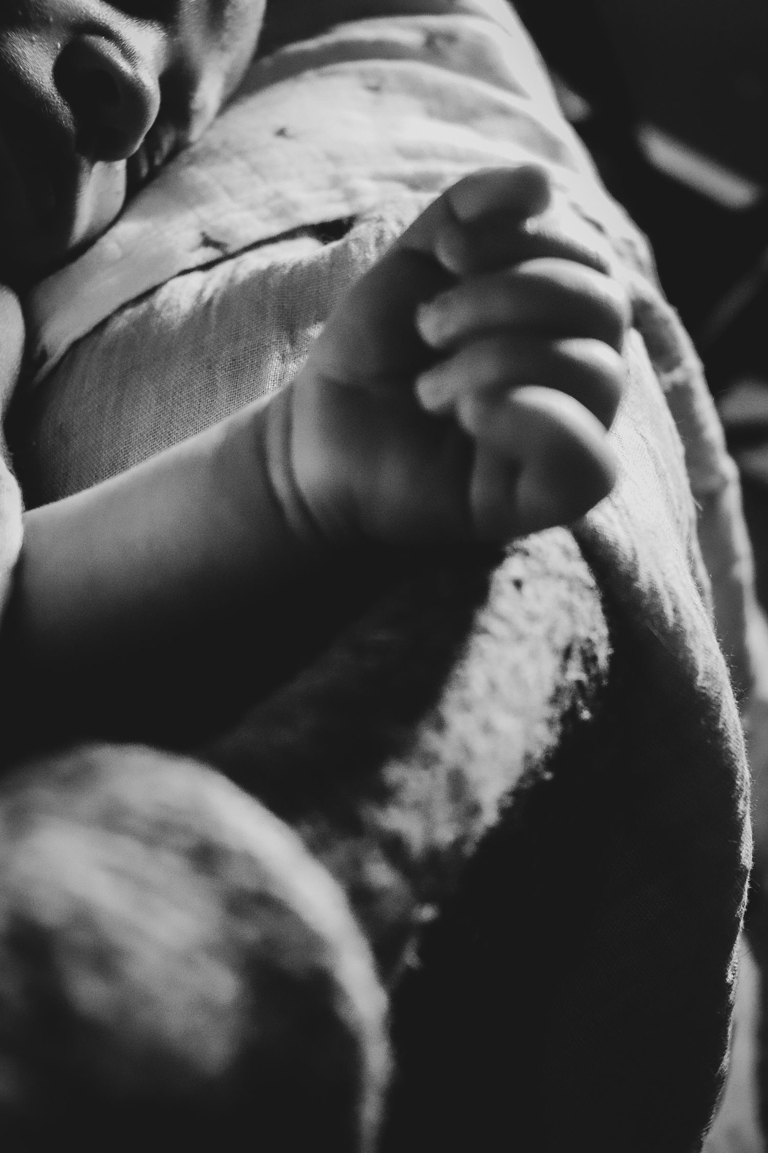 newborn session