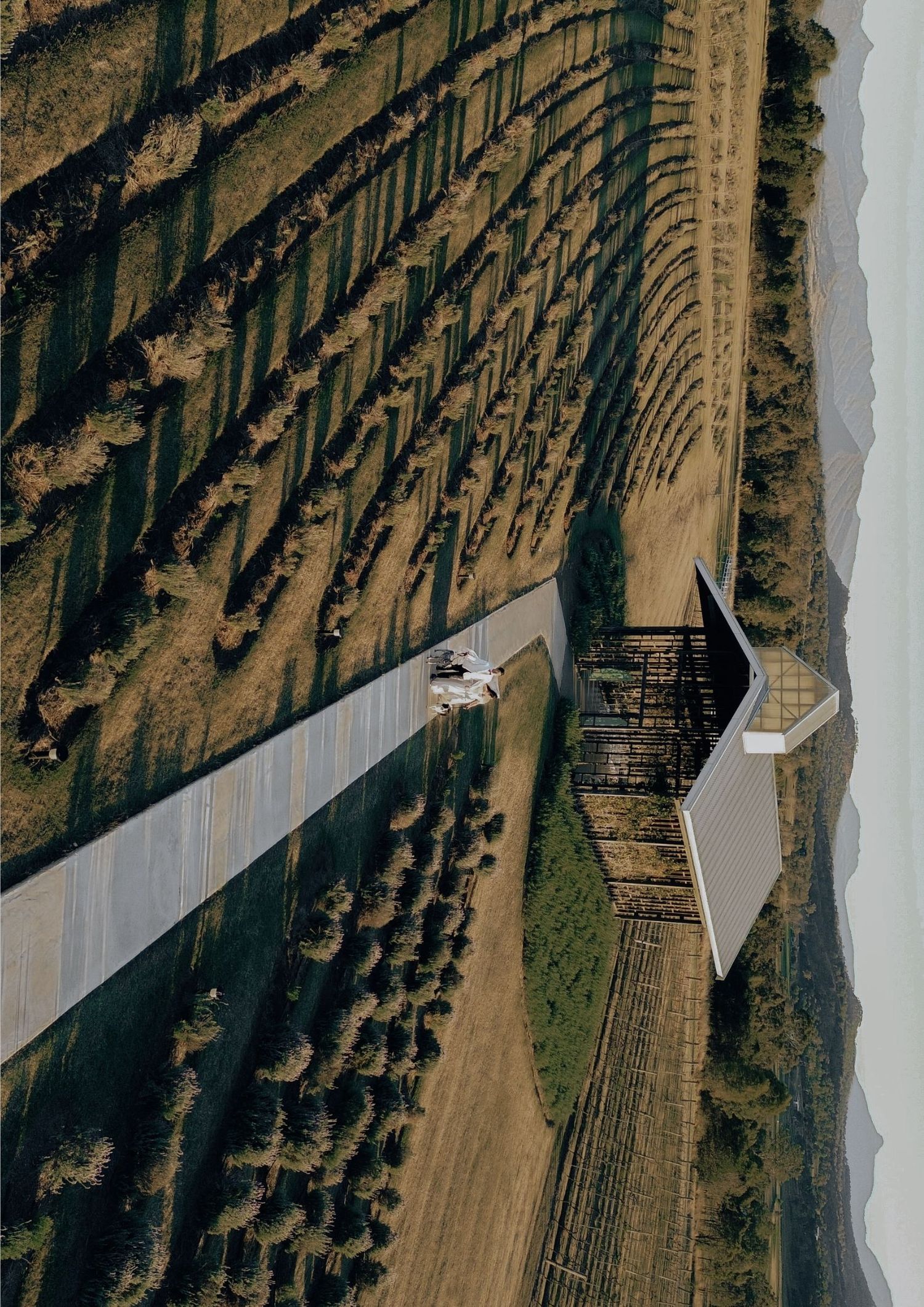 Aerial view of agricultural fields with irrigation systems creating geometric patterns in the landscape.