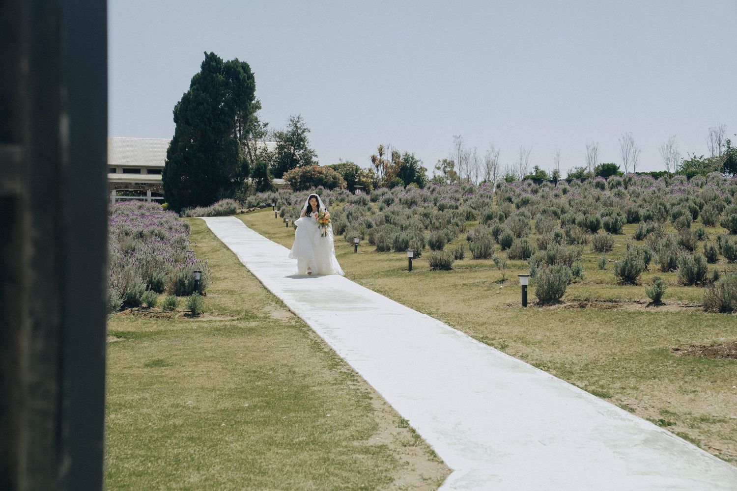 A winding concrete pathway cuts through green grass and desert terrain on a hillside.