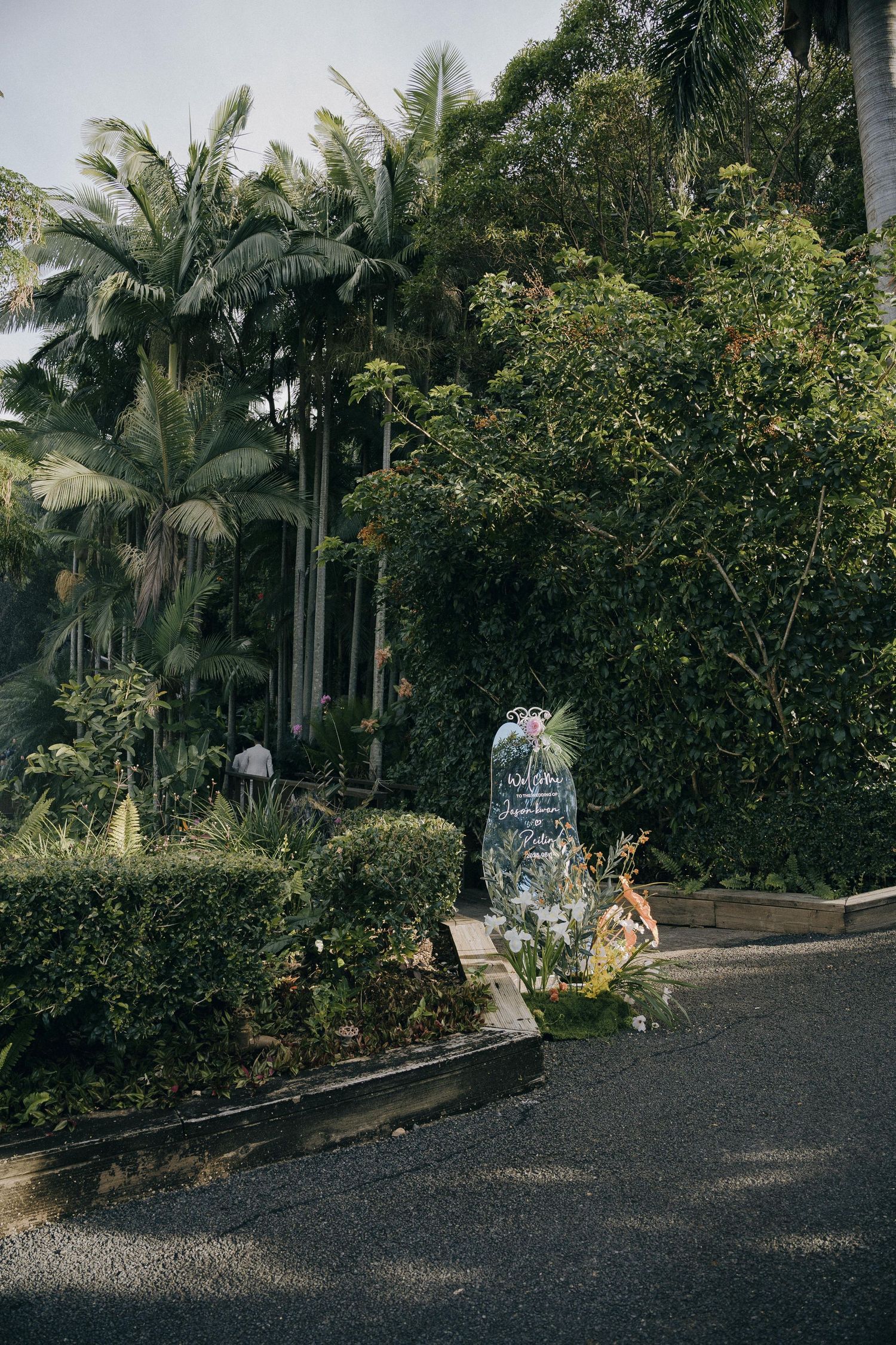 Tropical garden path with palm trees and lush greenery along a winding road on an overcast day.