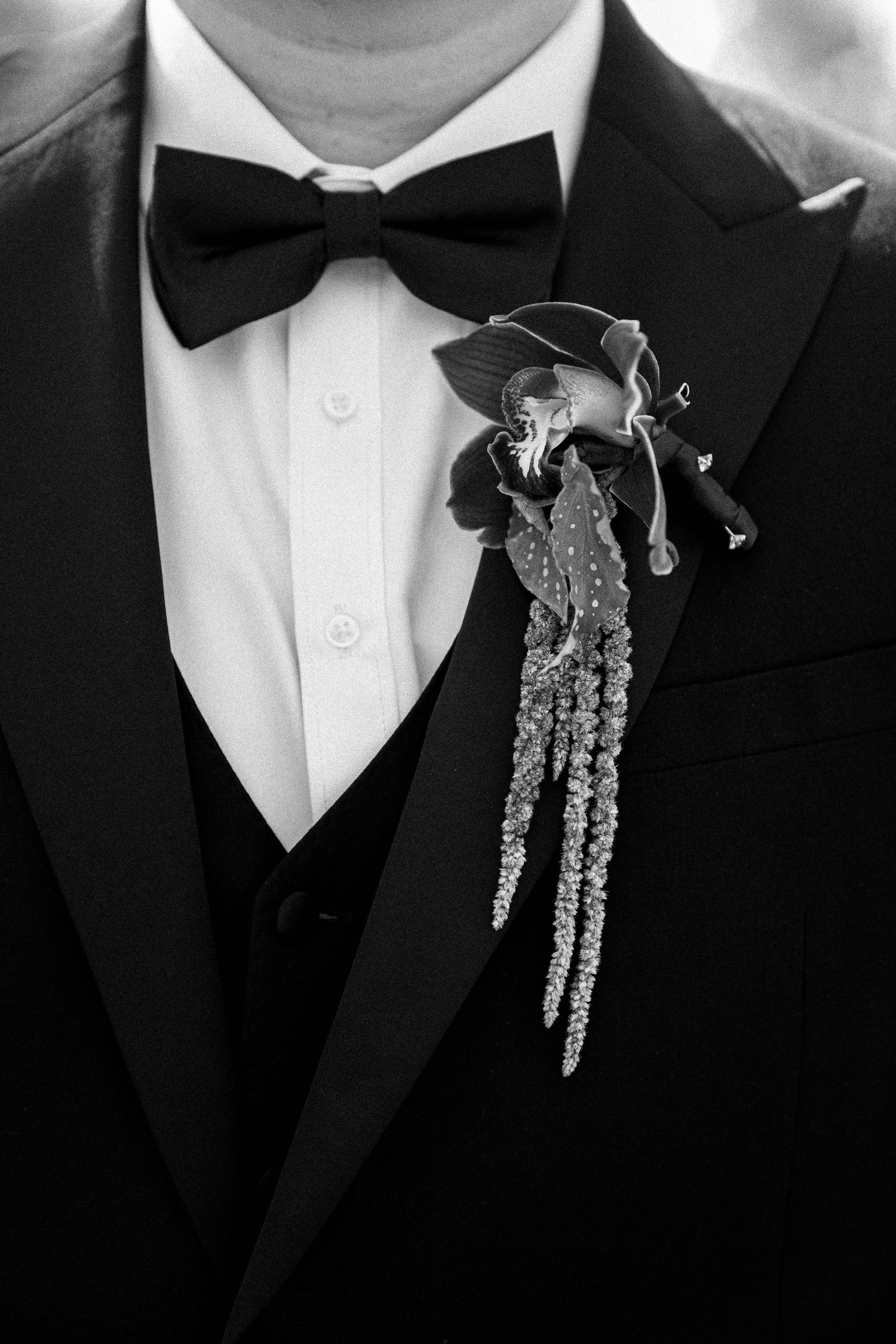 A close-up view of a black bow tie against a crisp white dress shirt collar.