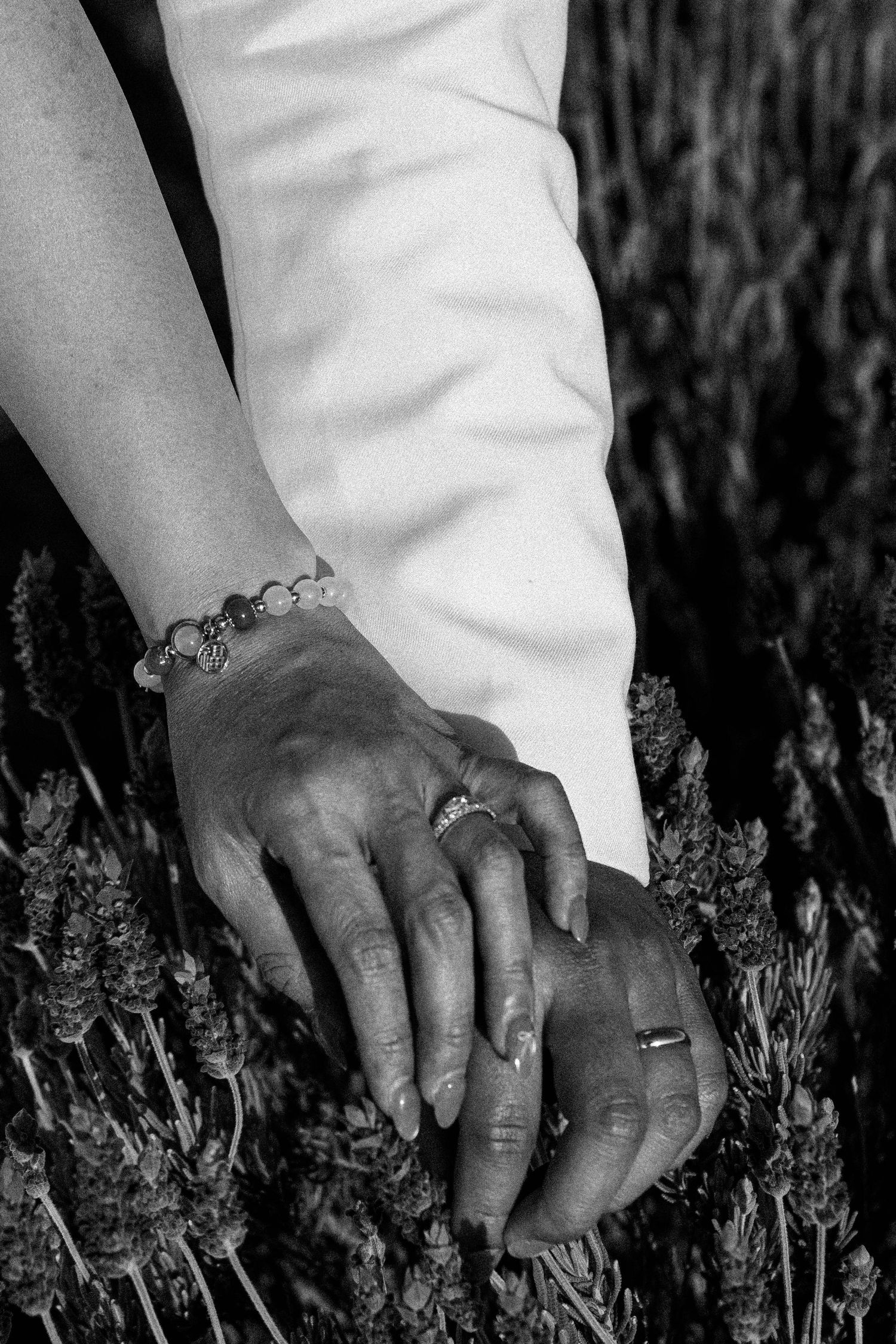 A sequence of black and white photos showing hands gently touching lavender flowers in a garden.