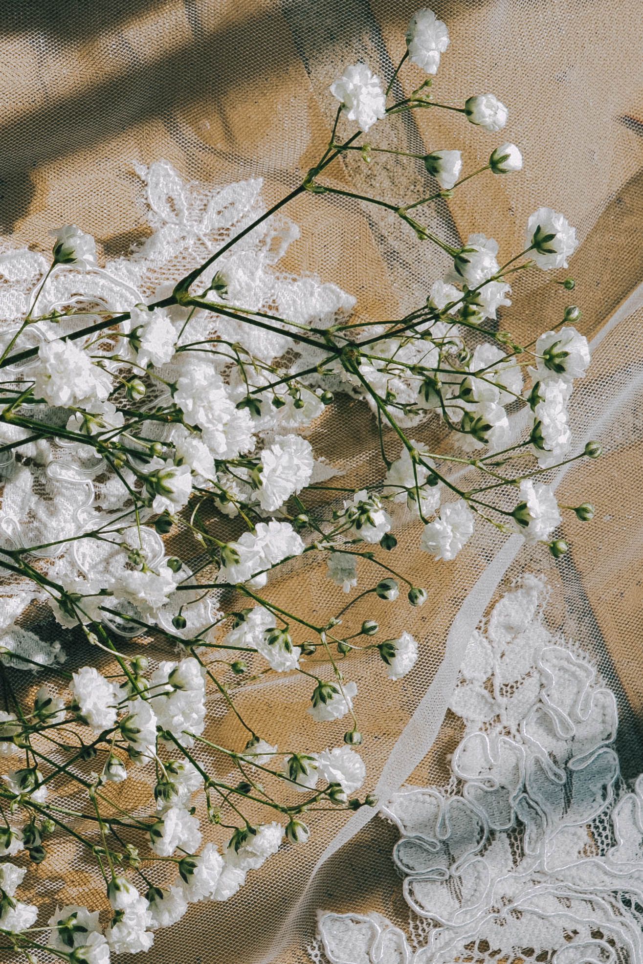 Delicate white baby's breath flowers and lace ribbon arranged on a beige textured background in a romantic composition.