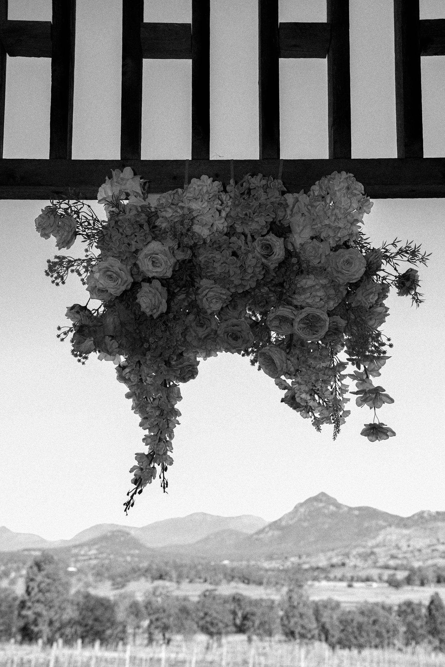 Scenic mountain landscape framed by decorative floral arrangements hanging from above against a cloudy sky.