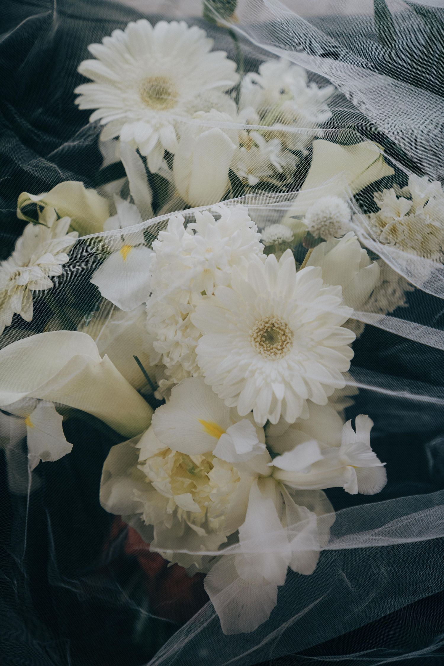 Elegant white gerbera daisies and delicate flowers arranged with sheer fabric creating a dreamy romantic display.