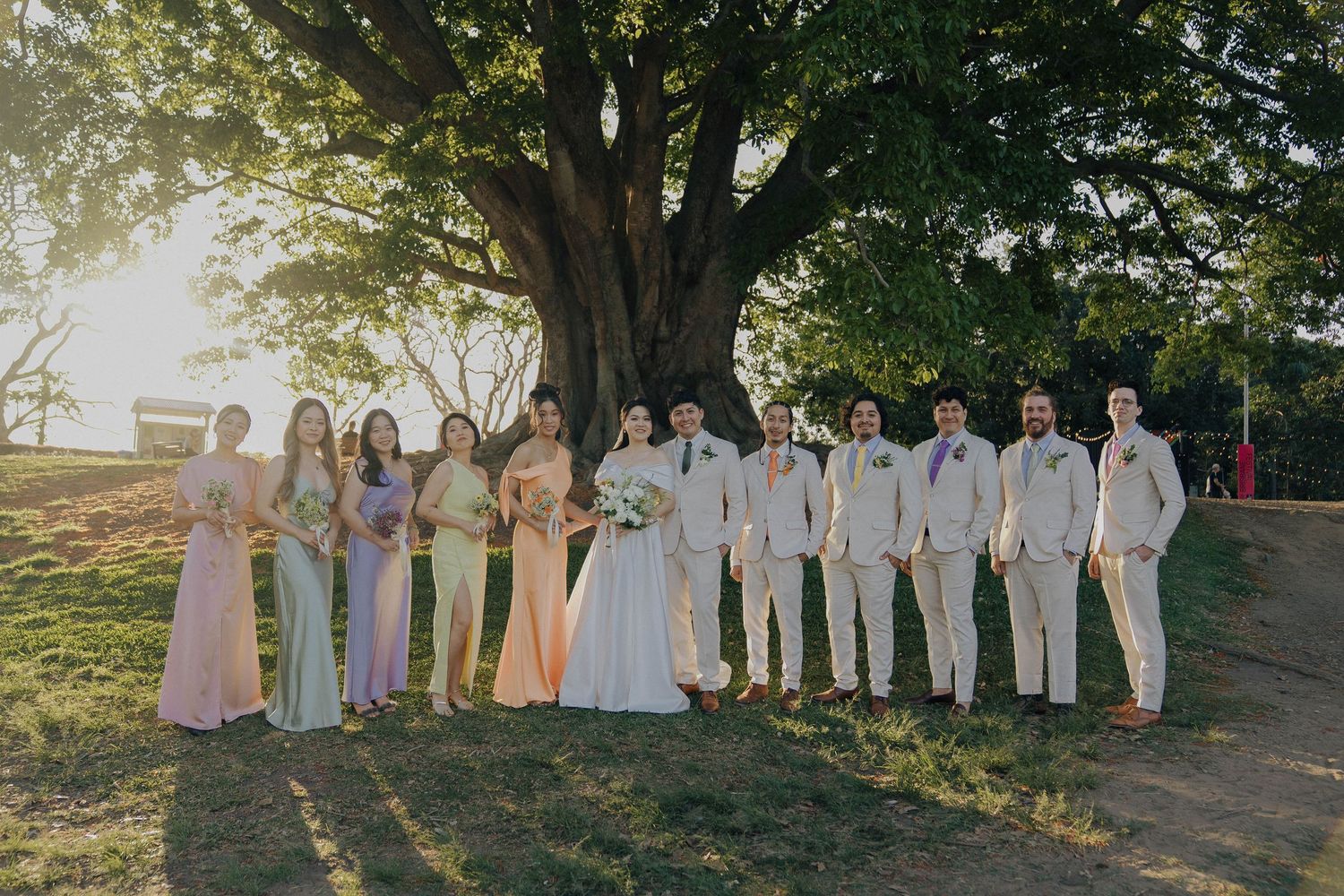 Wedding party stands in a row outdoors at sunset with golden sunlight filtering through trees.