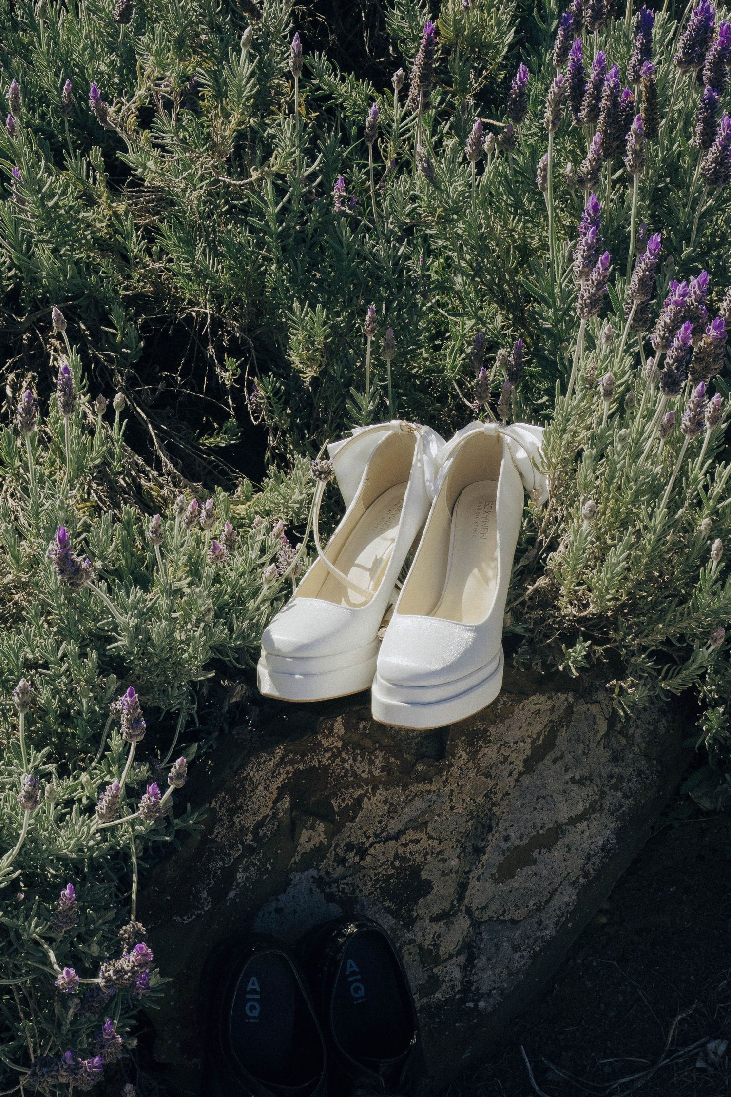 A pair of white canvas slip-on shoes displayed against a backdrop of lavender flowers and greenery in nature.