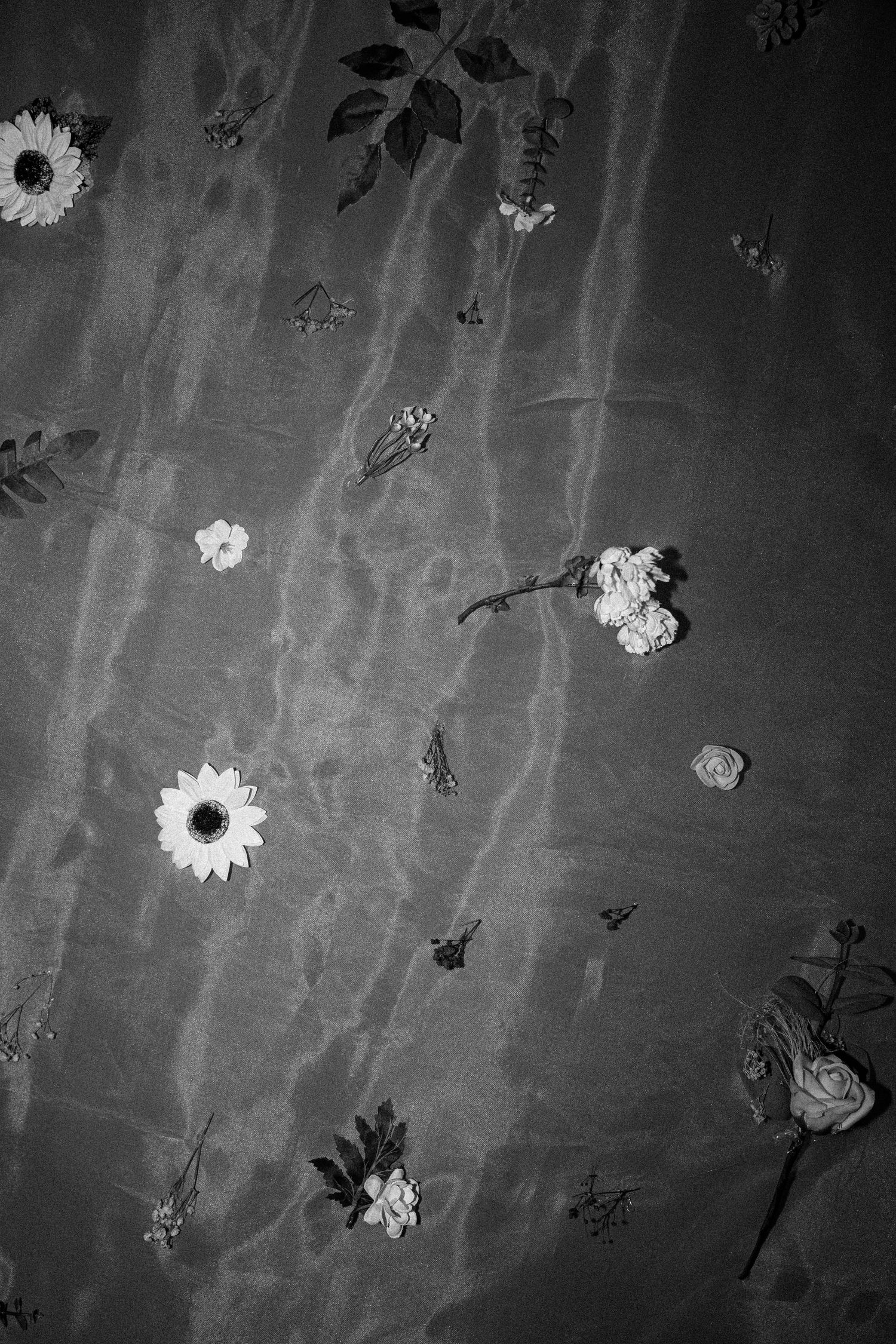 Black and white artistic photograph of scattered flowers against a textured dark background with dramatic lighting.