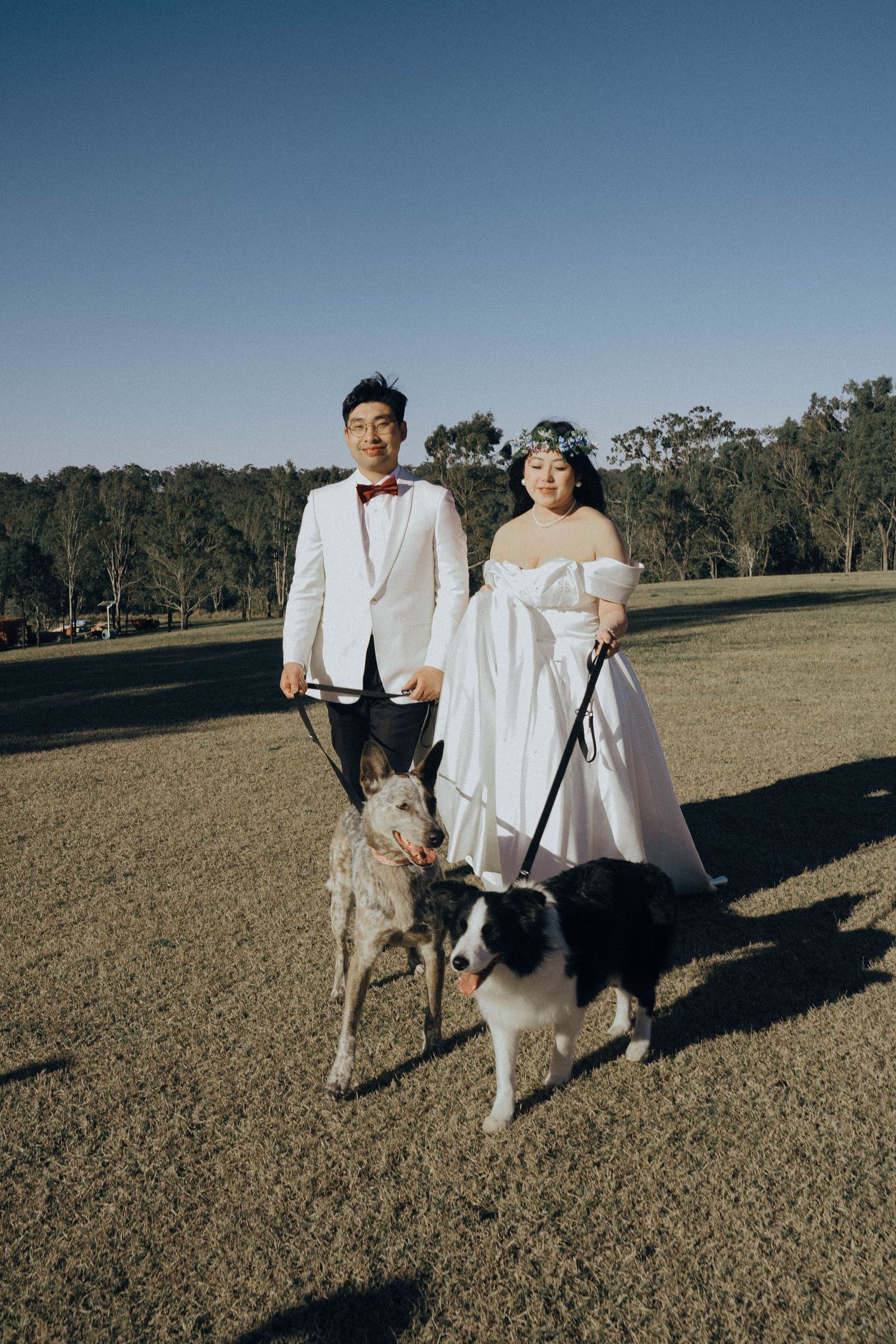 A couple in formal white attire poses with their two dogs in a rustic outdoor field setting.