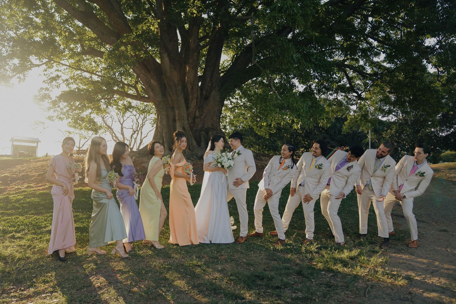 Wedding party poses playfully in a line on grassy hill during golden hour sunset with large tree in background.