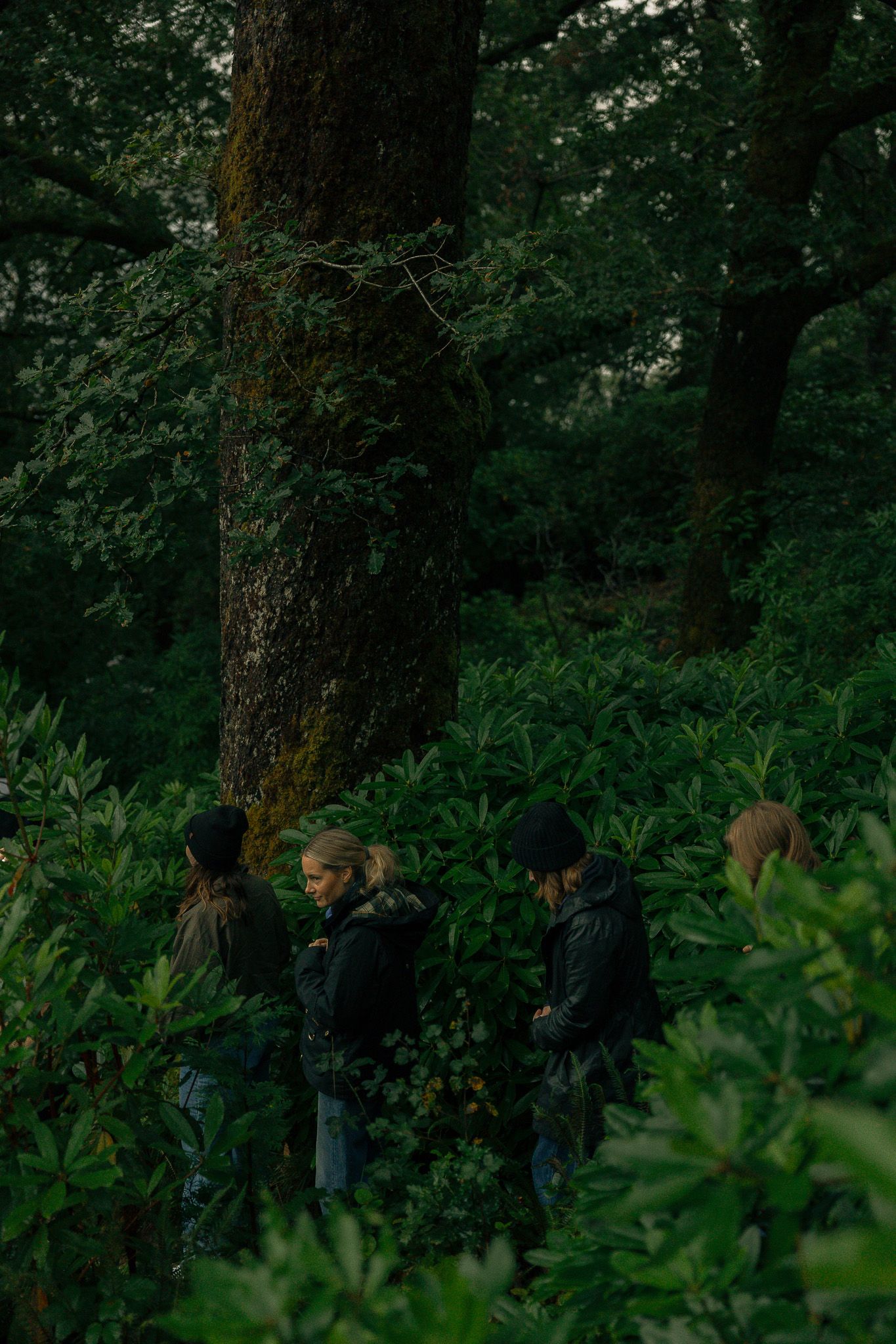 People walking through the forest at St. Conans Kirk, Scotland.