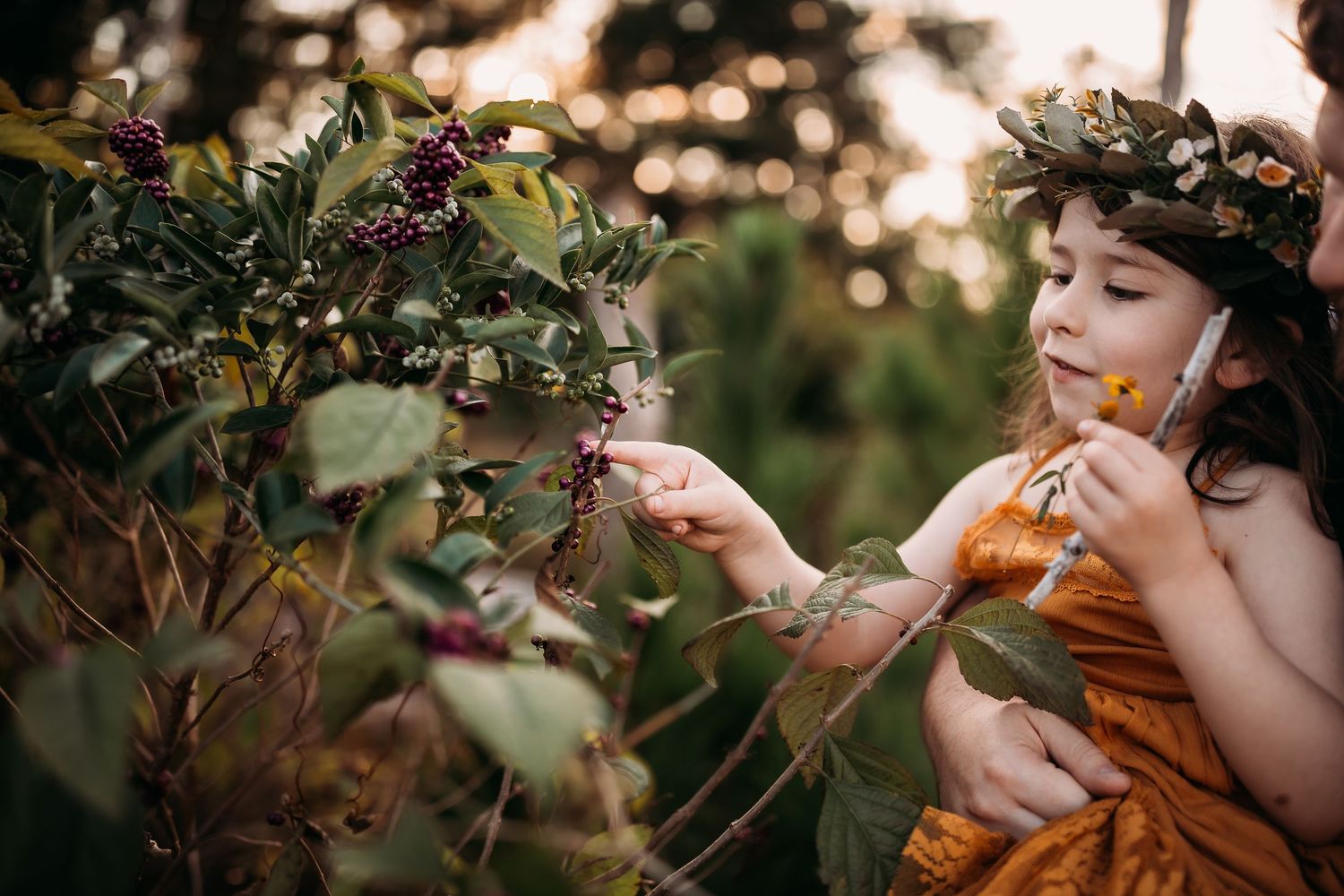 A series of connected photos showing a person in a garden picking and smelling autumn flowers at sunset.