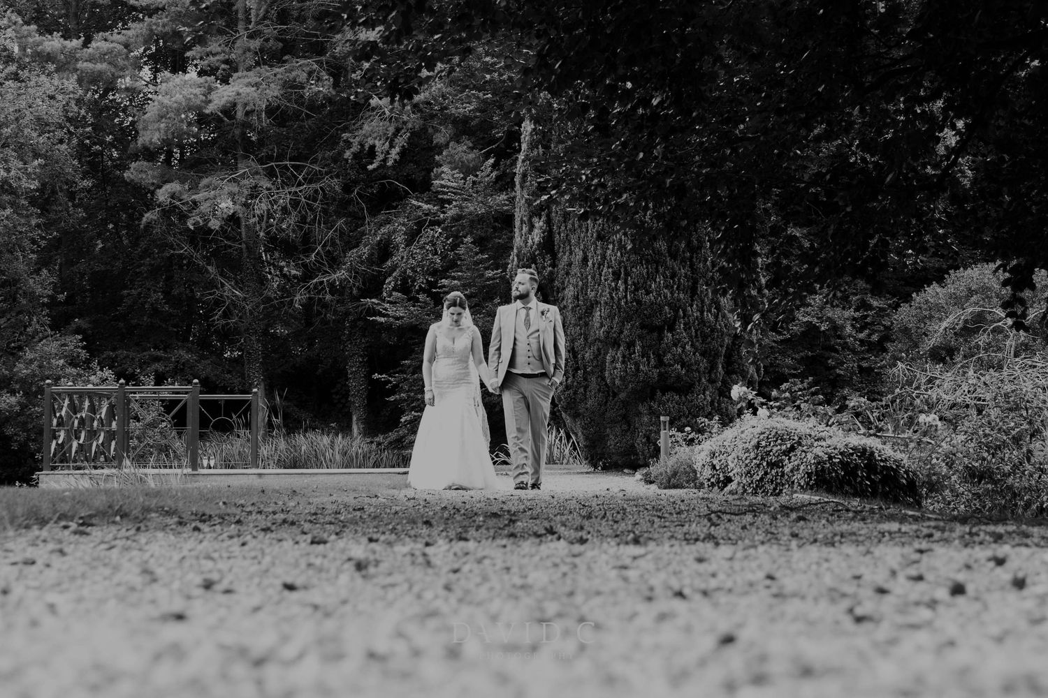 Wedding Photography - Black and white photo of a bride and groom walking hand in hand through a tree-lined garden path.