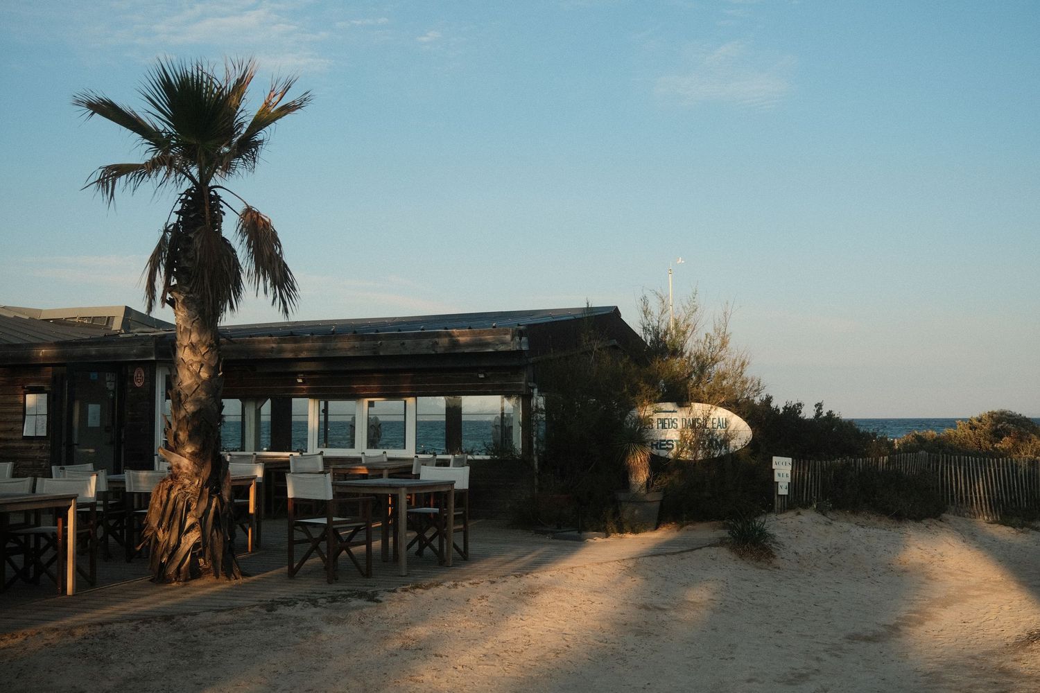 Beach restaurant exterior with palm trees at golden hour.