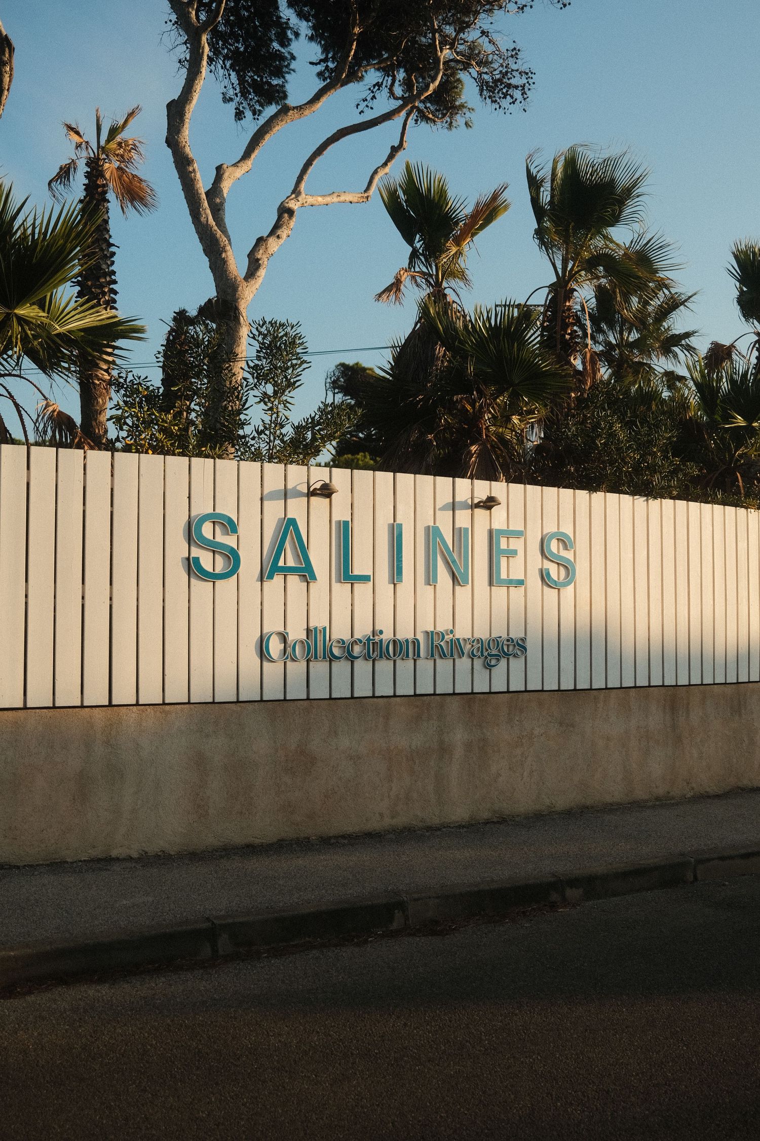 White wall with 'Salines' text signage surrounded by palm trees.