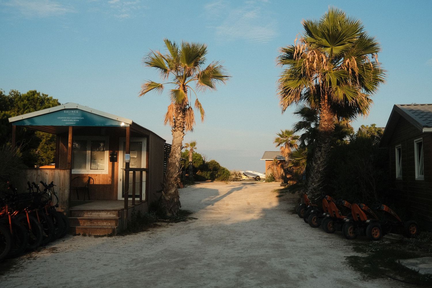 Row of palm trees lines a beachfront path with vacation homes at sunset.
