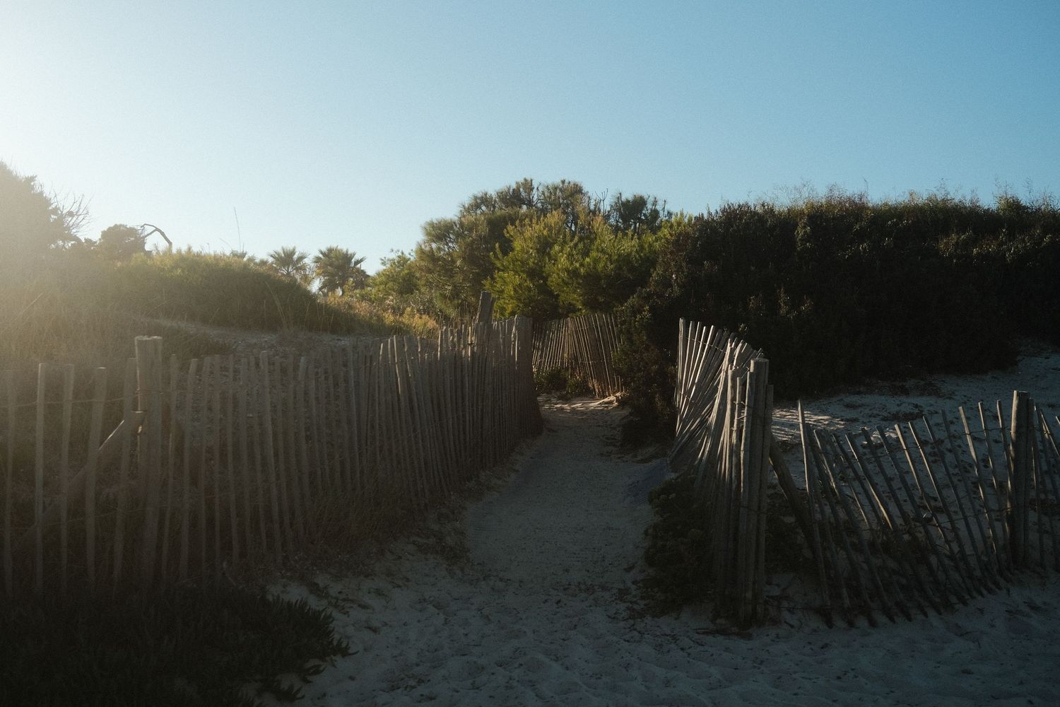 Wooden beach fence pathway at sunset creating dramatic shadows and light.