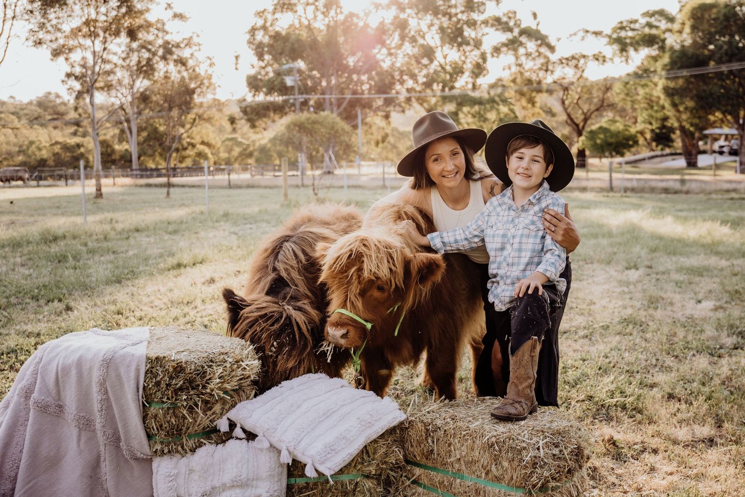 perth highland cows, highland cows, bullsbrook, farm stay, perth photography, perth families