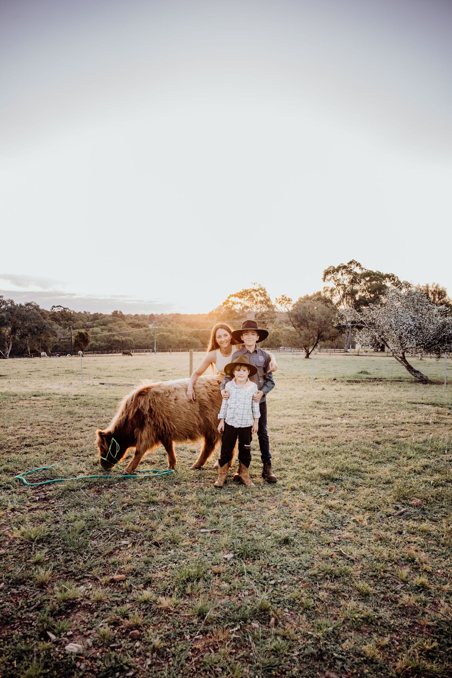 perth highland cows, highland cows, bullsbrook, farm stay, perth photography, perth families, family photos perth