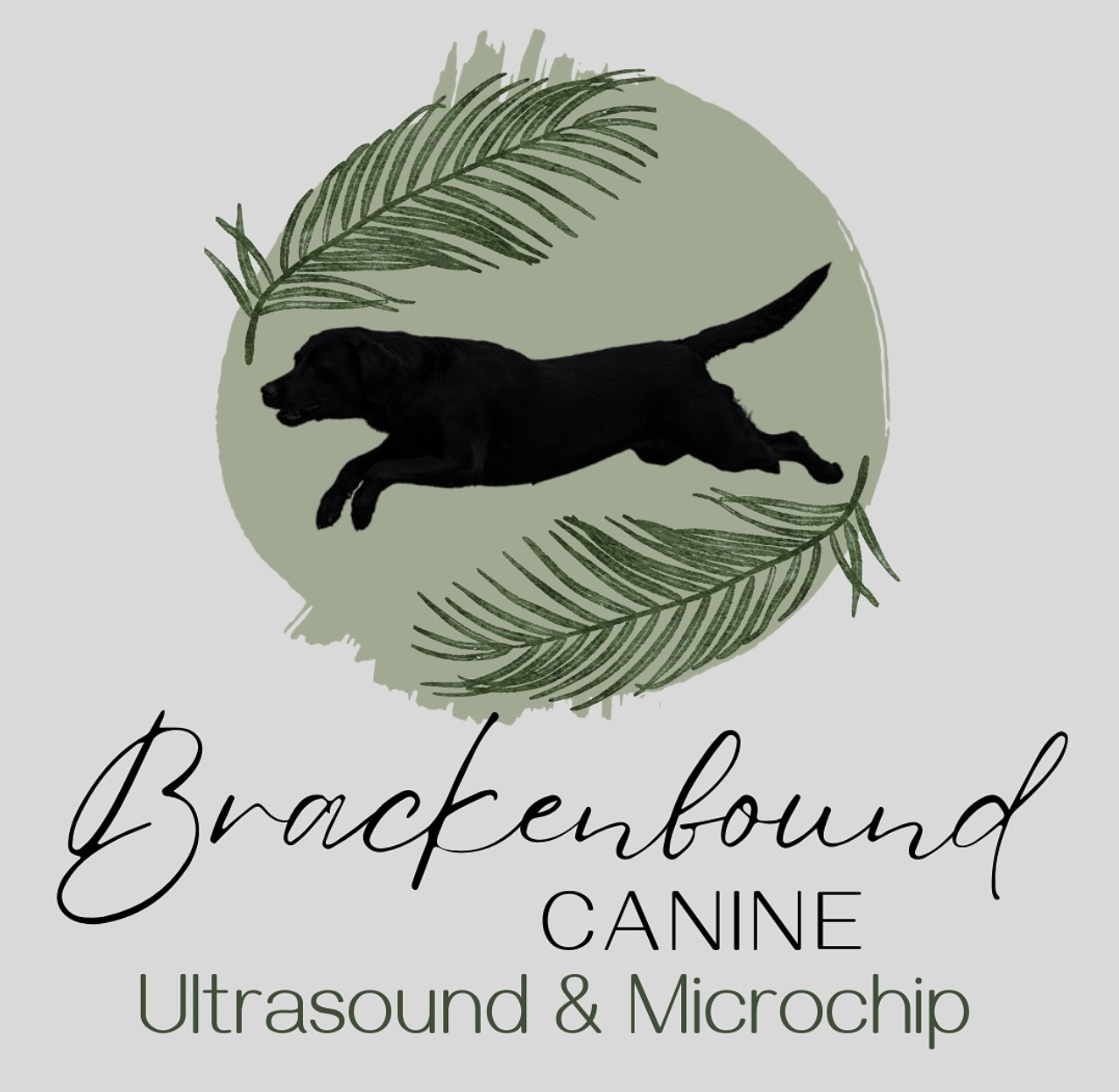 Collection of silhouetted dog logos in green with different service labels.