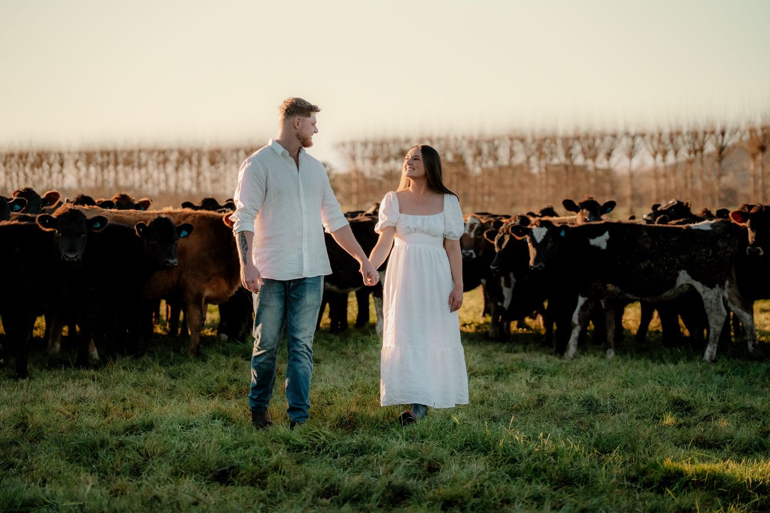 A couple stands in a green pasture holding hands with a large herd of black cattle in the background at sunset.