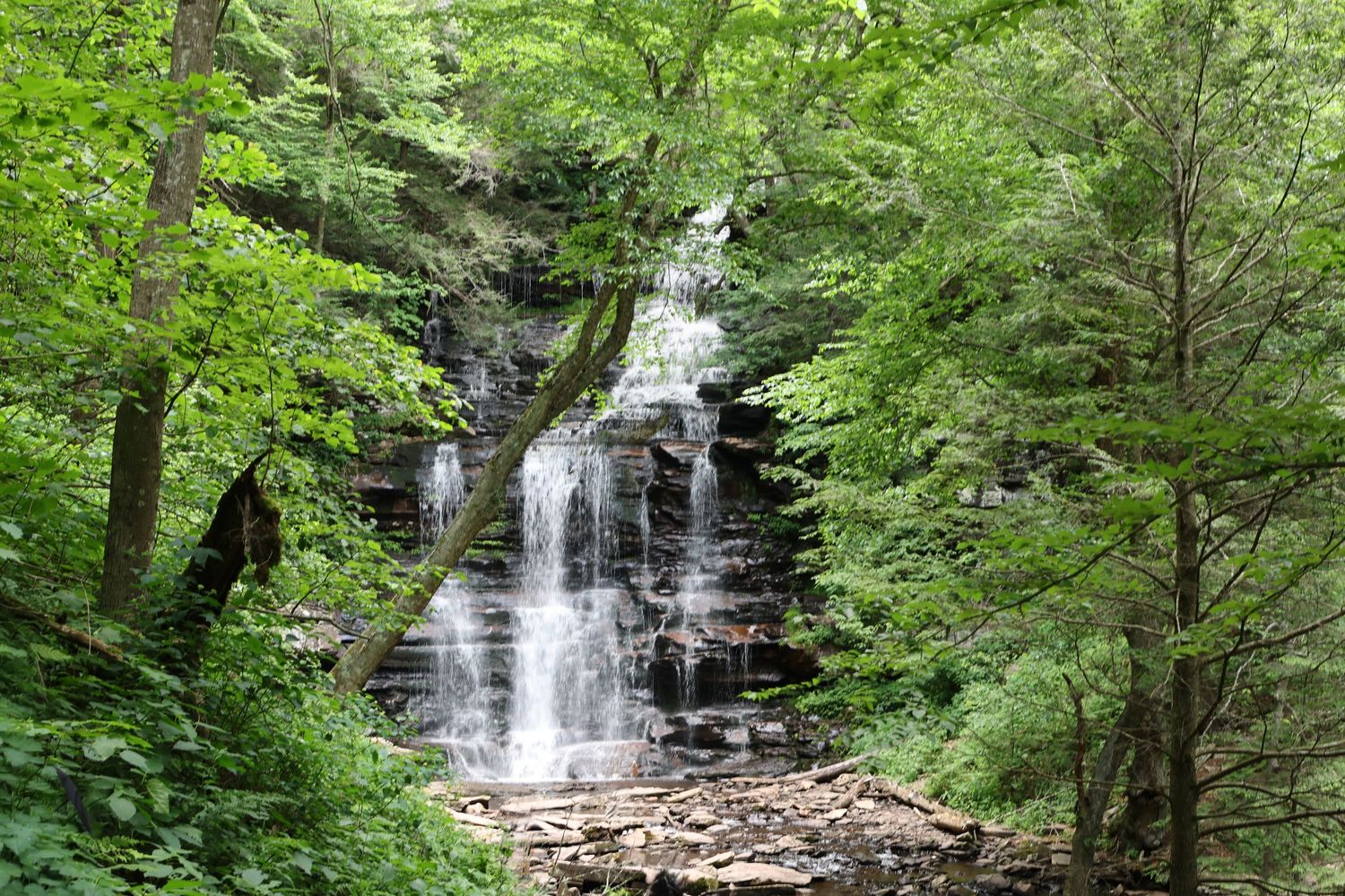 Scenic waterfall cascading over rocky ledges surrounded by lush green forest.