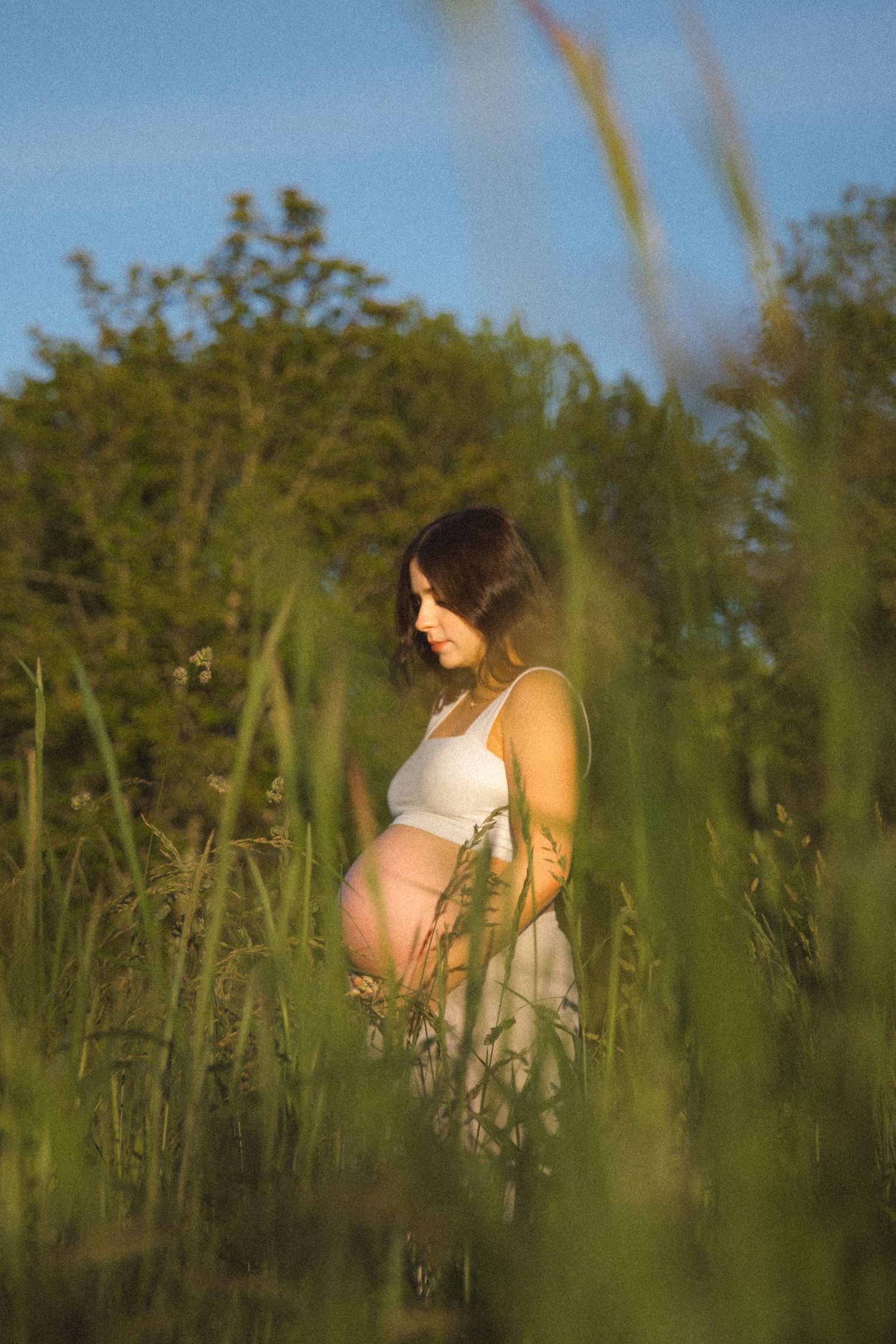 golden hour outdoors pregnancy shot