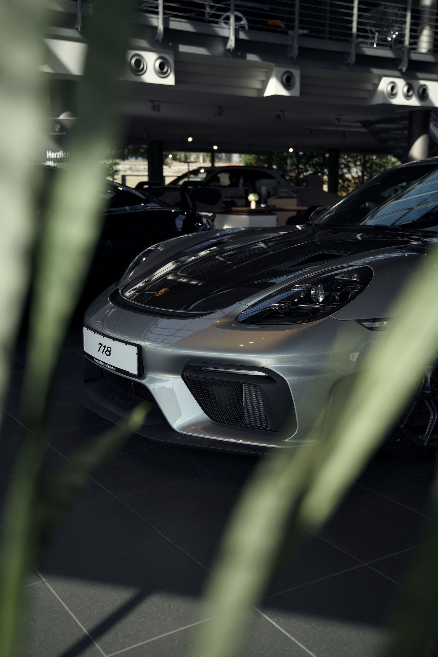 A row of sleek Porsche sports cars on display in a dimly lit luxury car showroom with green plants in foreground.