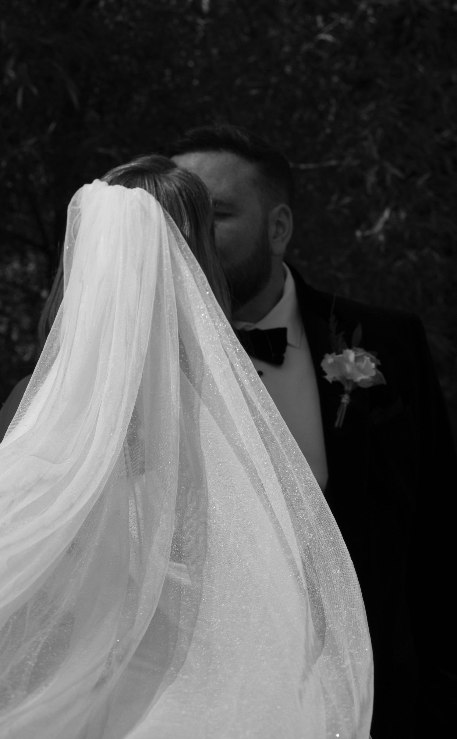 Glittery wedding veil