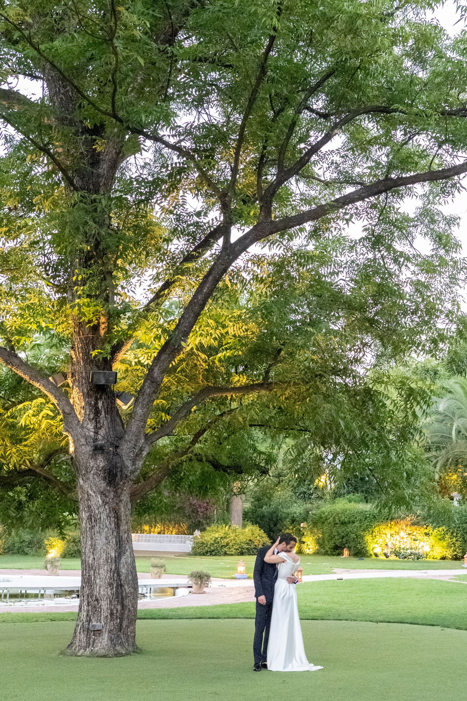 Wedding ceremony under large mature trees in a peaceful park setting.