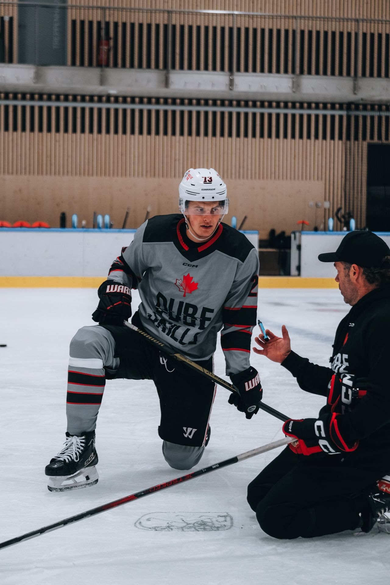 Lukas Reichel, NHL