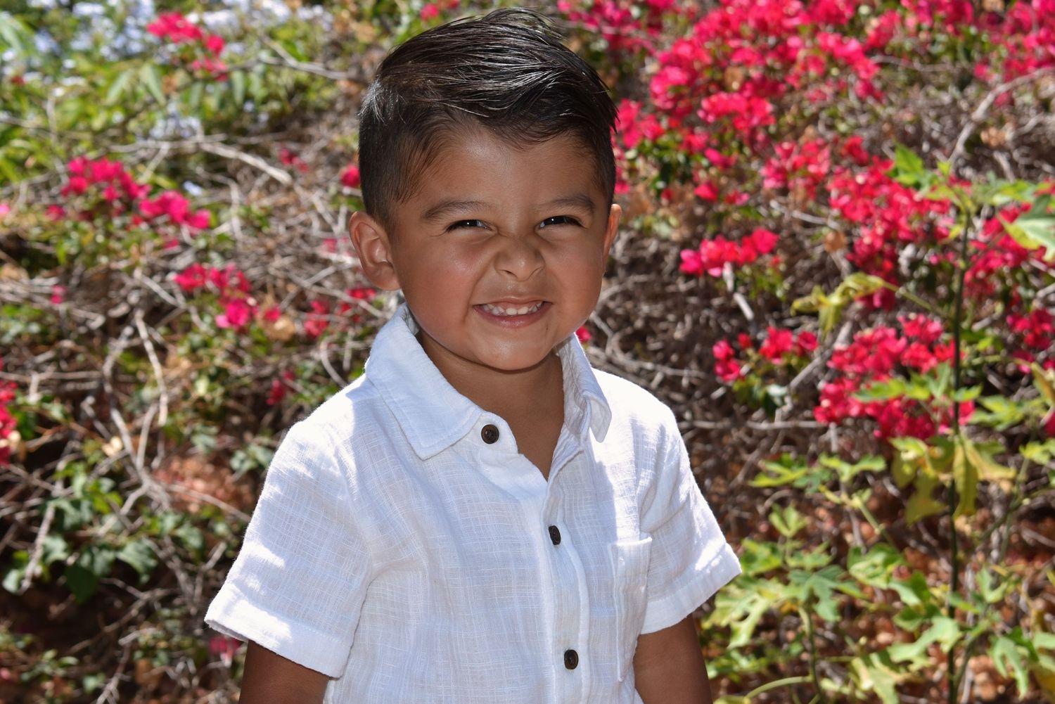 White-shirted child smiling near bright red flowers in garden setting.