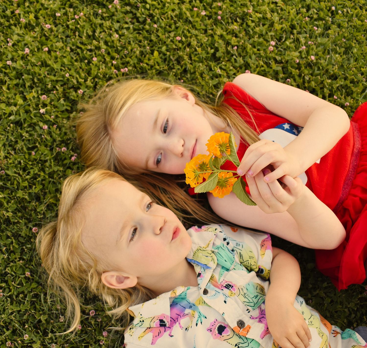 A series of photos showing someone lying in grass with flowers on a sunny day.