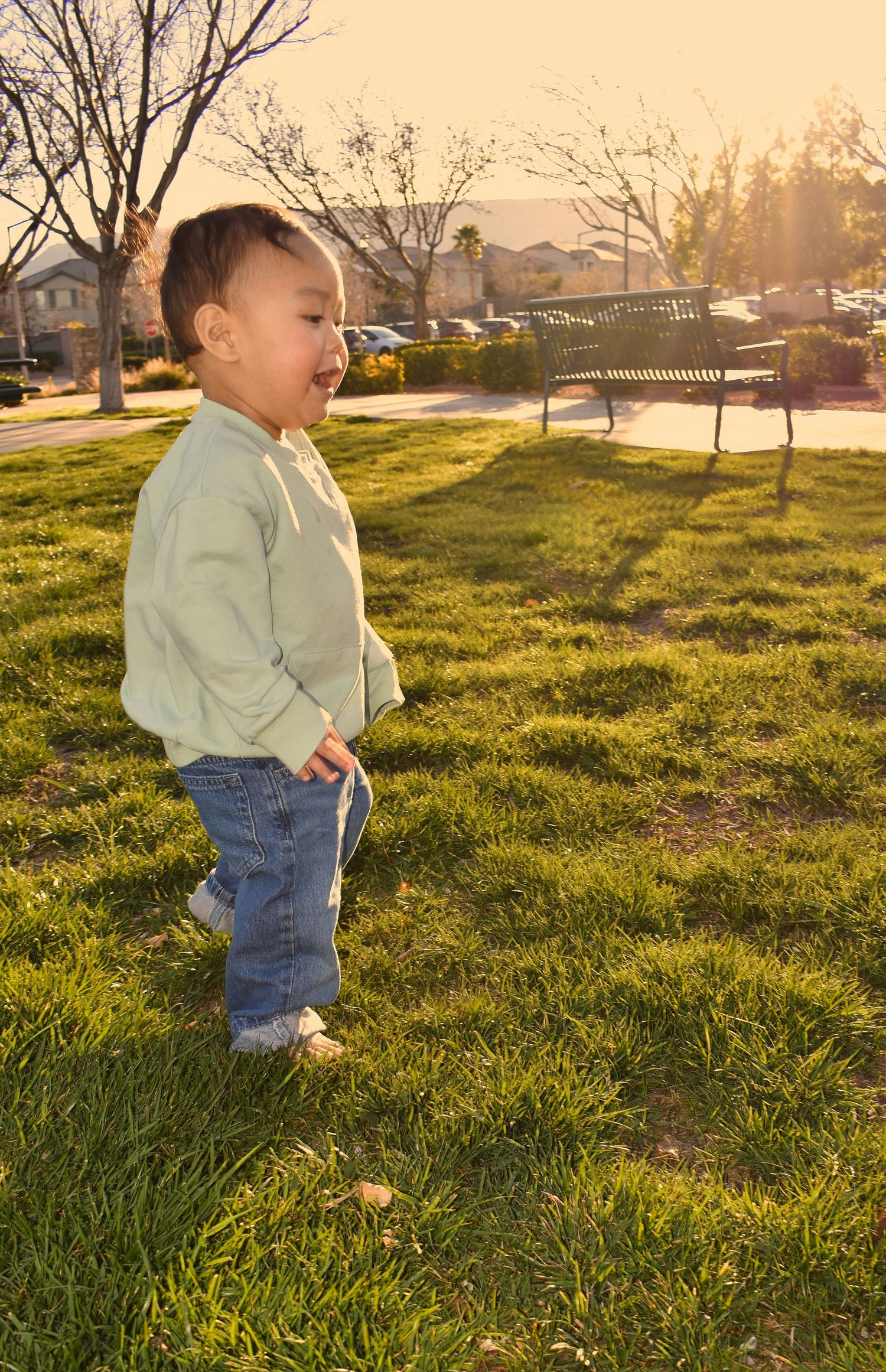 A toddler walks through a sunlit grassy field at golden hour, casting long shadows across the green lawn.