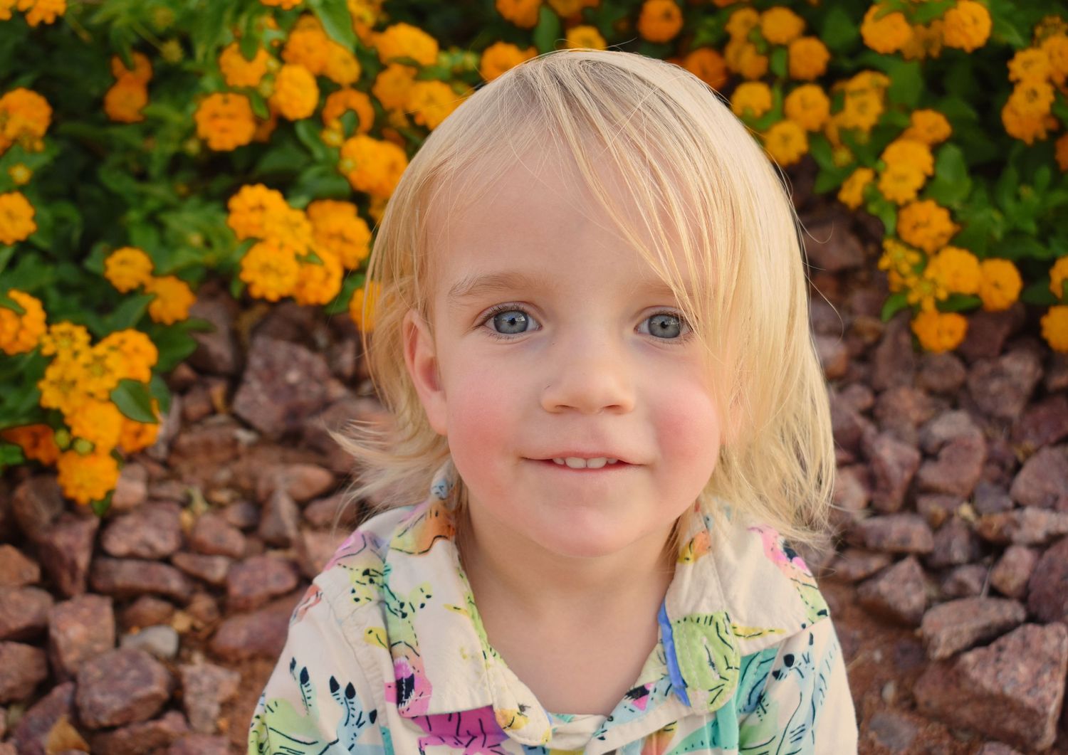 Close-up shots of a child with orange marigold flowers in a garden setting.