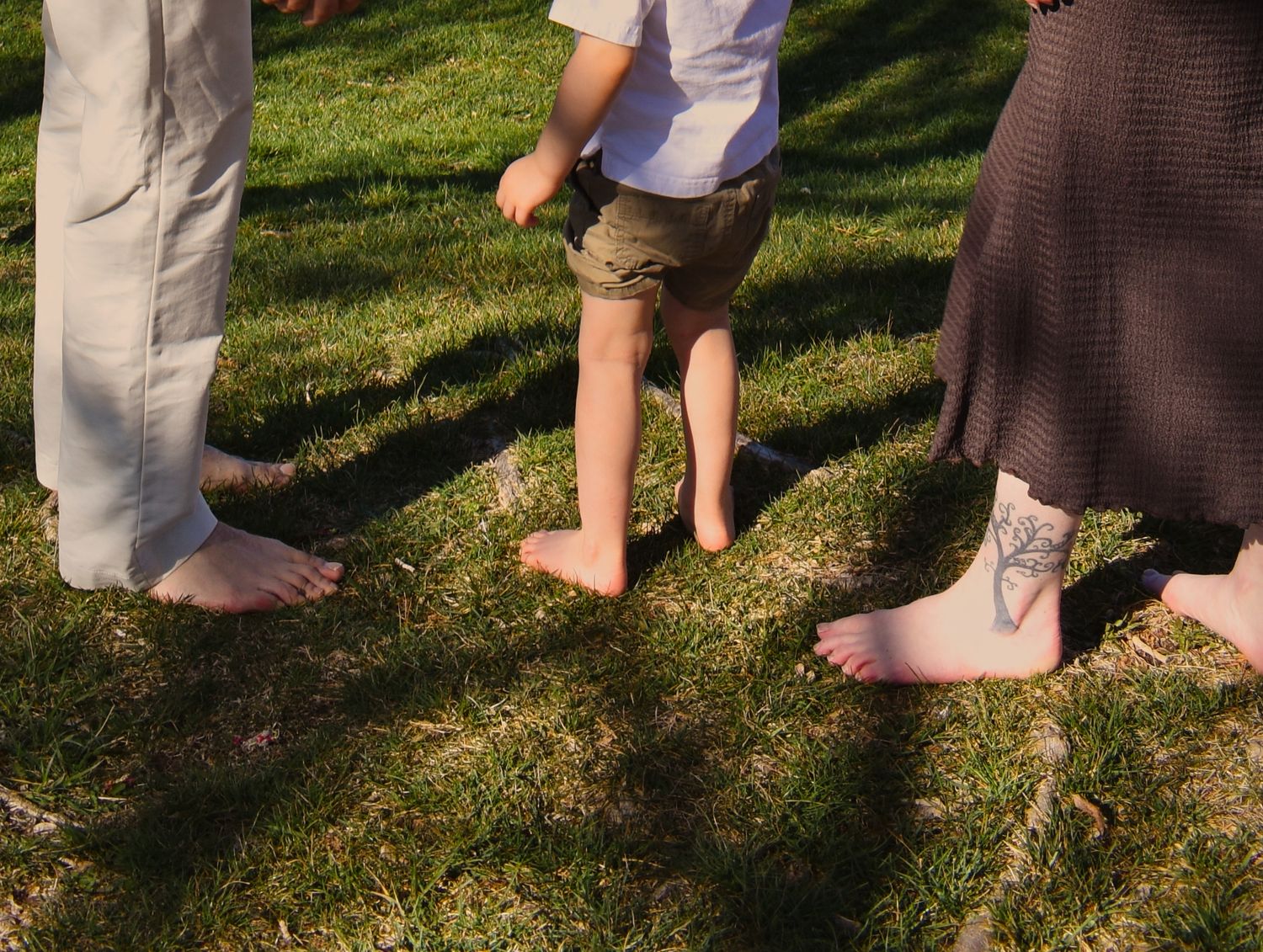 Bare feet walking on green grass in sunlight showing a progression of steps across a lawn.